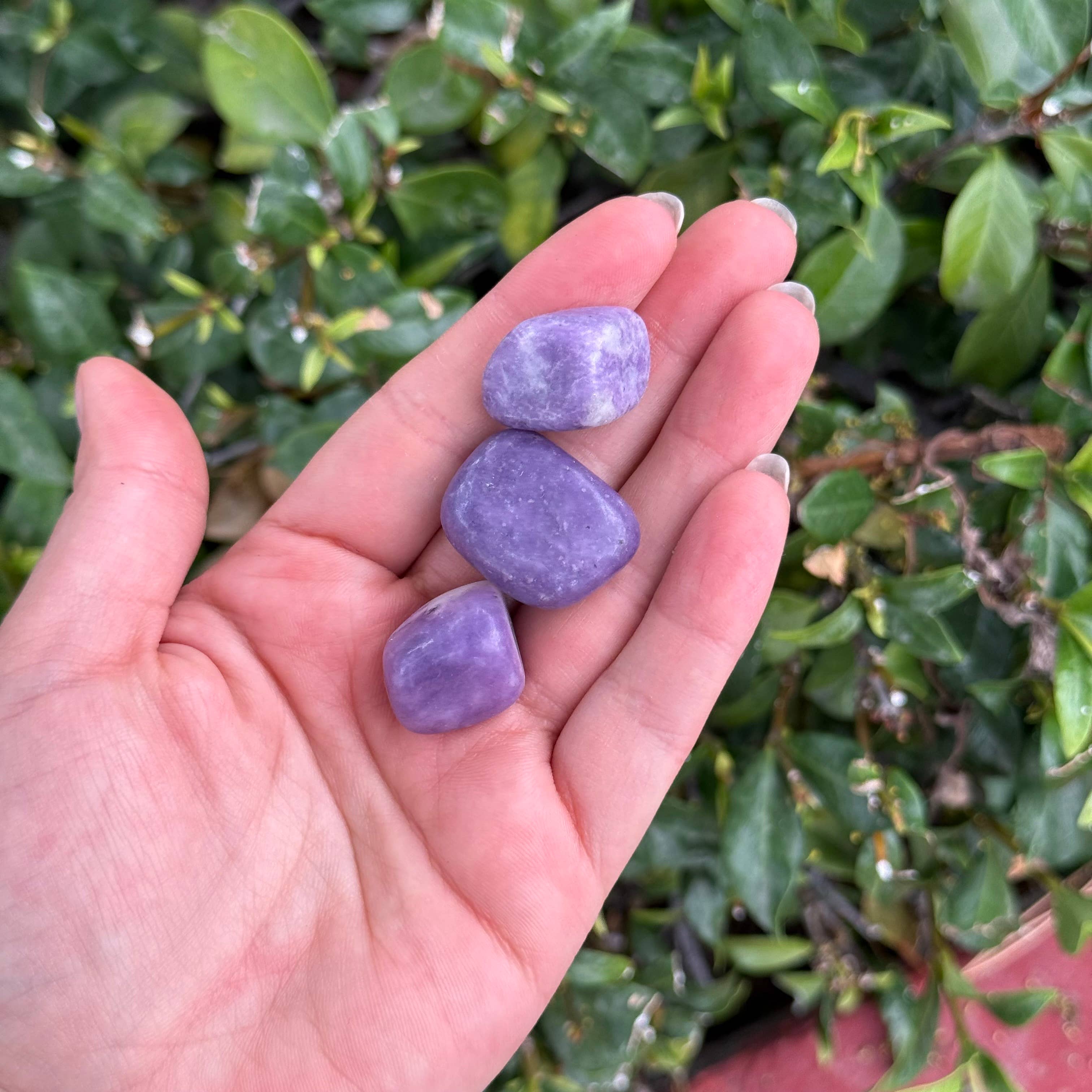 Lepidolite Tumble Stone