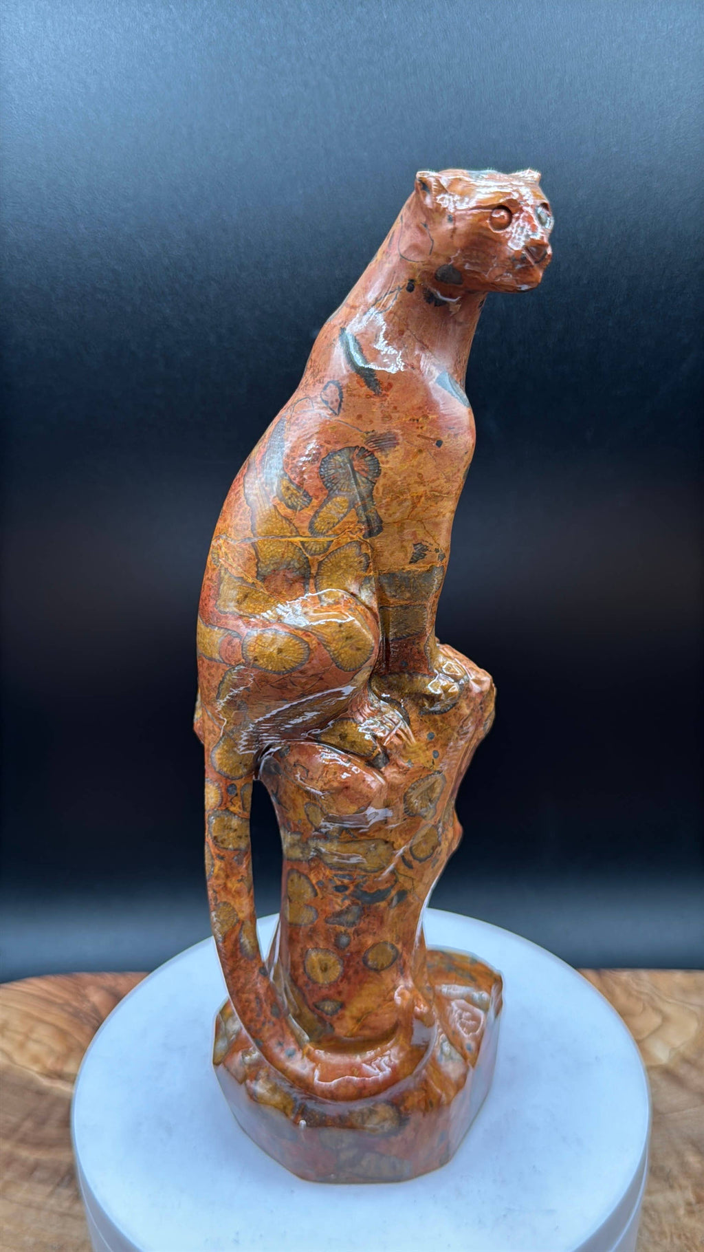 Leopard Skin Jasper Big Cat Carving on tree branch carving