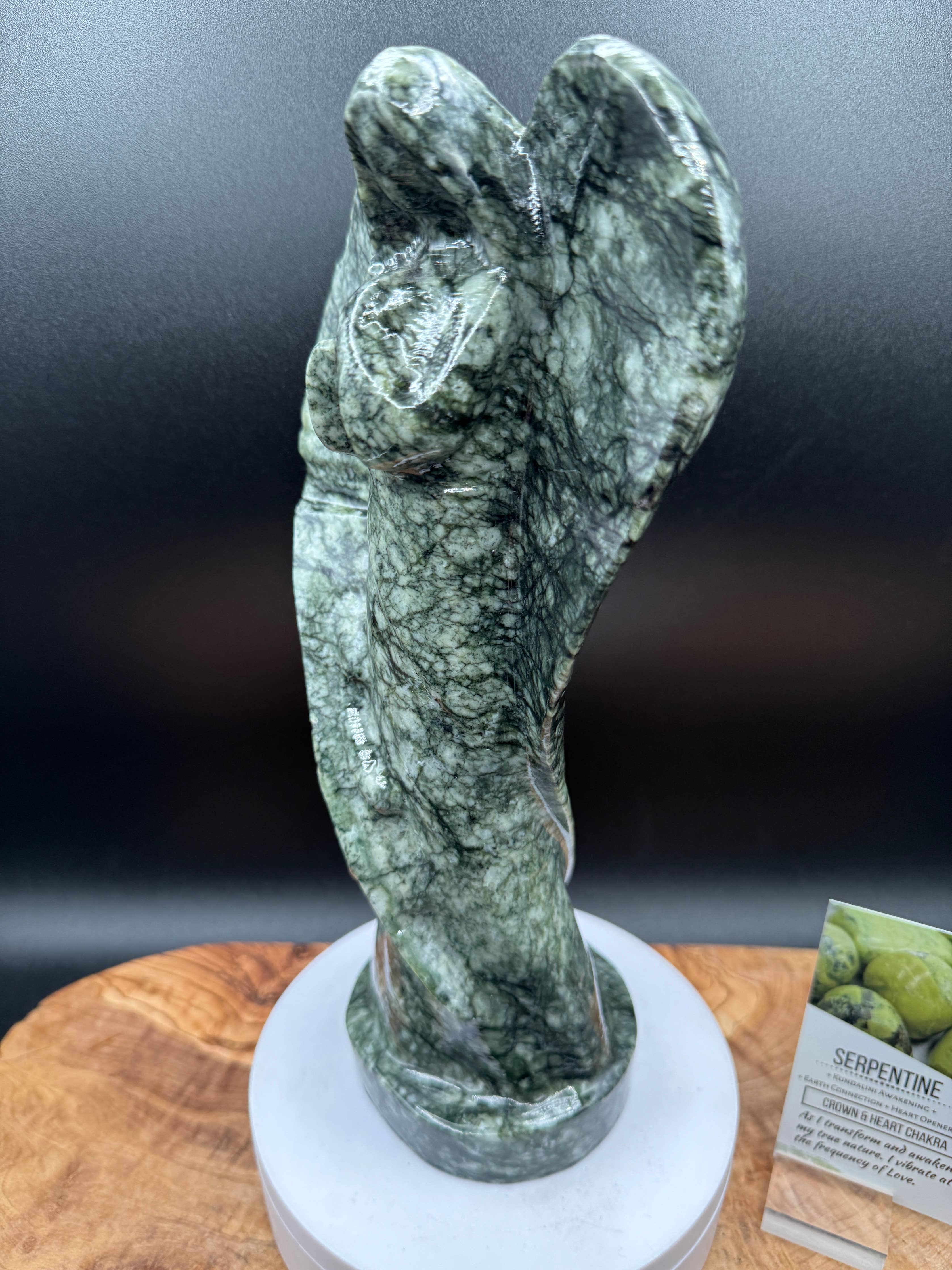 Serpentine angel with info card 10" XL