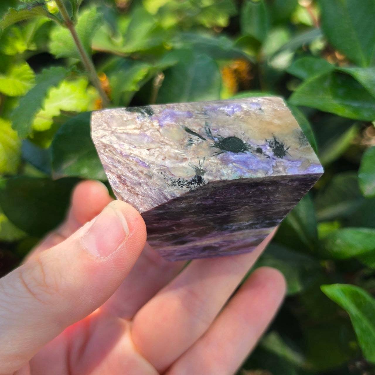 Charoite Freeform | UV Reactive