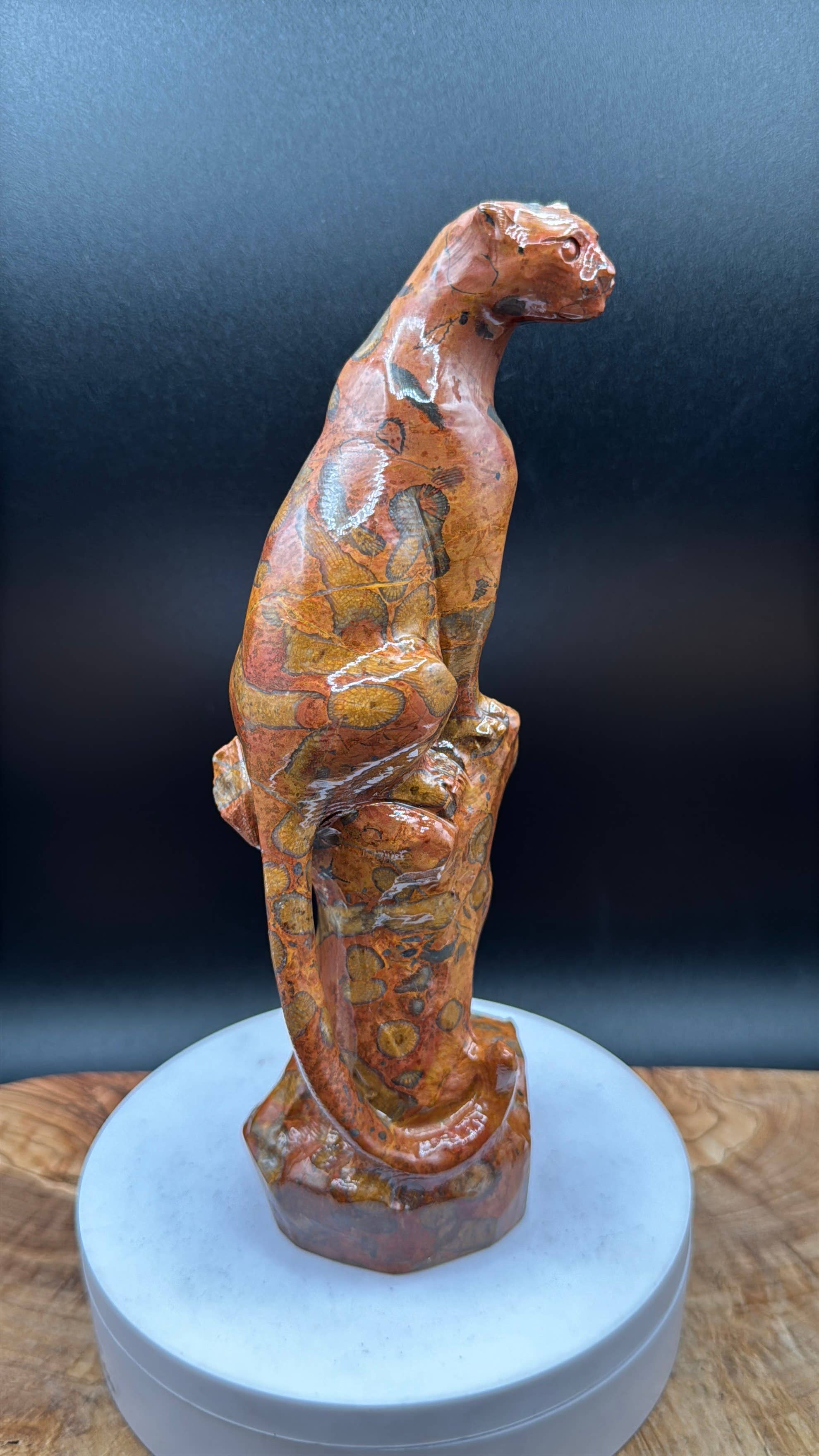 Leopard Skin Jasper Big Cat Carving on tree branch carving