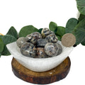 Yooperlite Tumble Stone