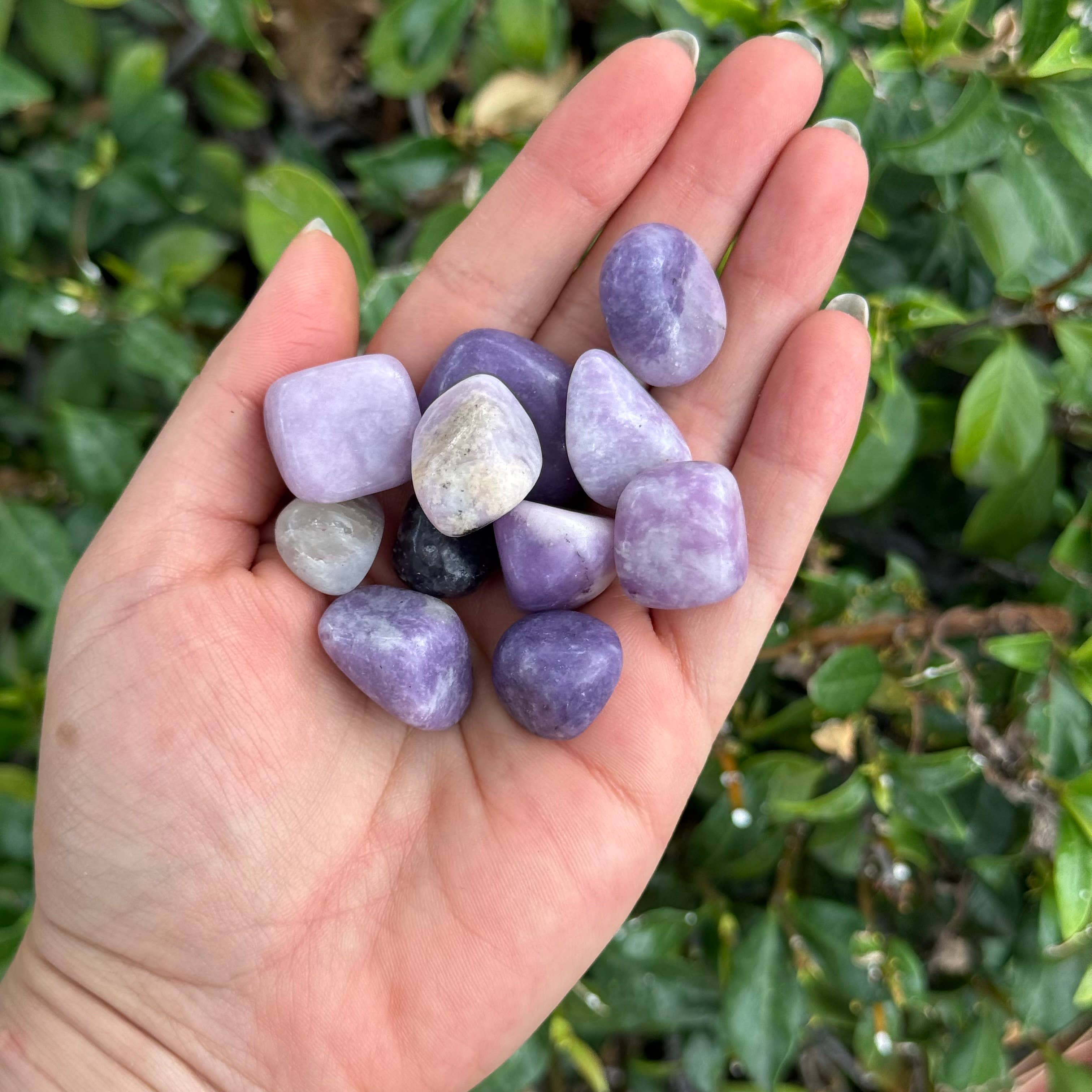 Lepidolite Tumble Stone