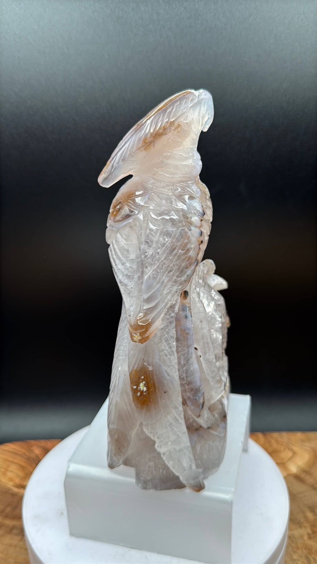 Druzy Agate Phoenix Bird with Flower Carving | 6 1/2" Crystal Sculpture H977