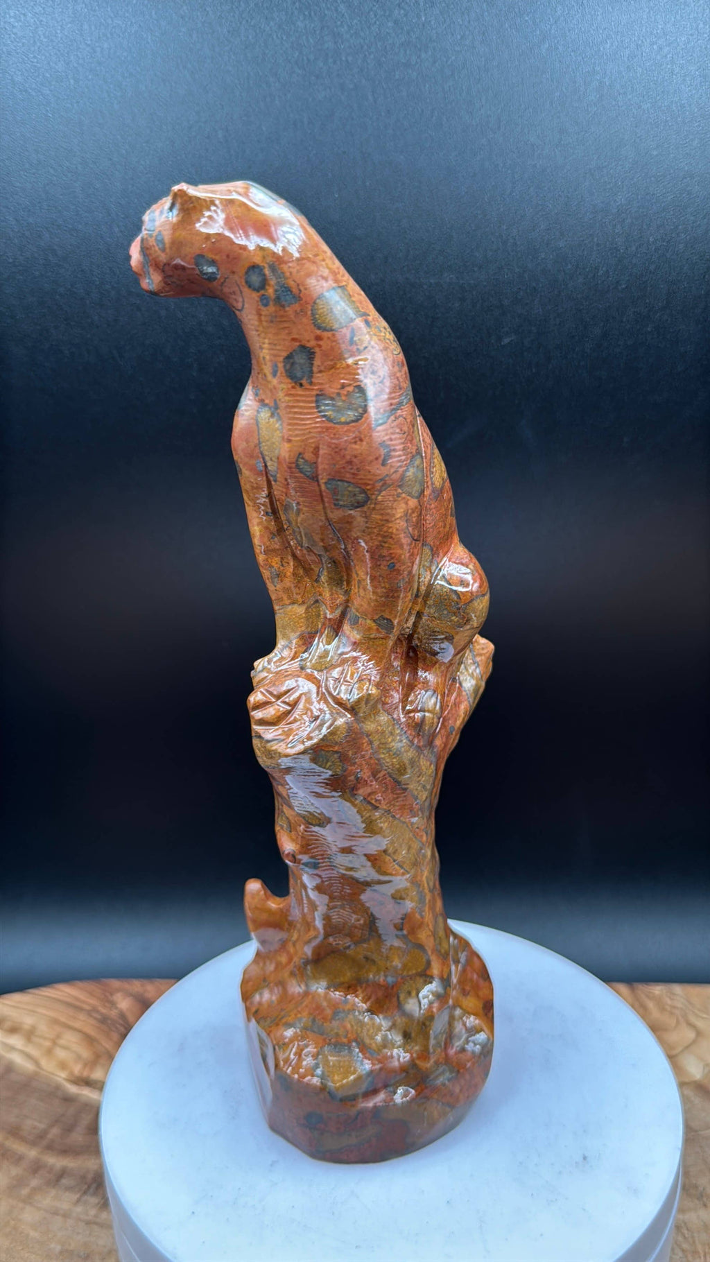 Leopard Skin Jasper Big Cat Carving on tree branch carving