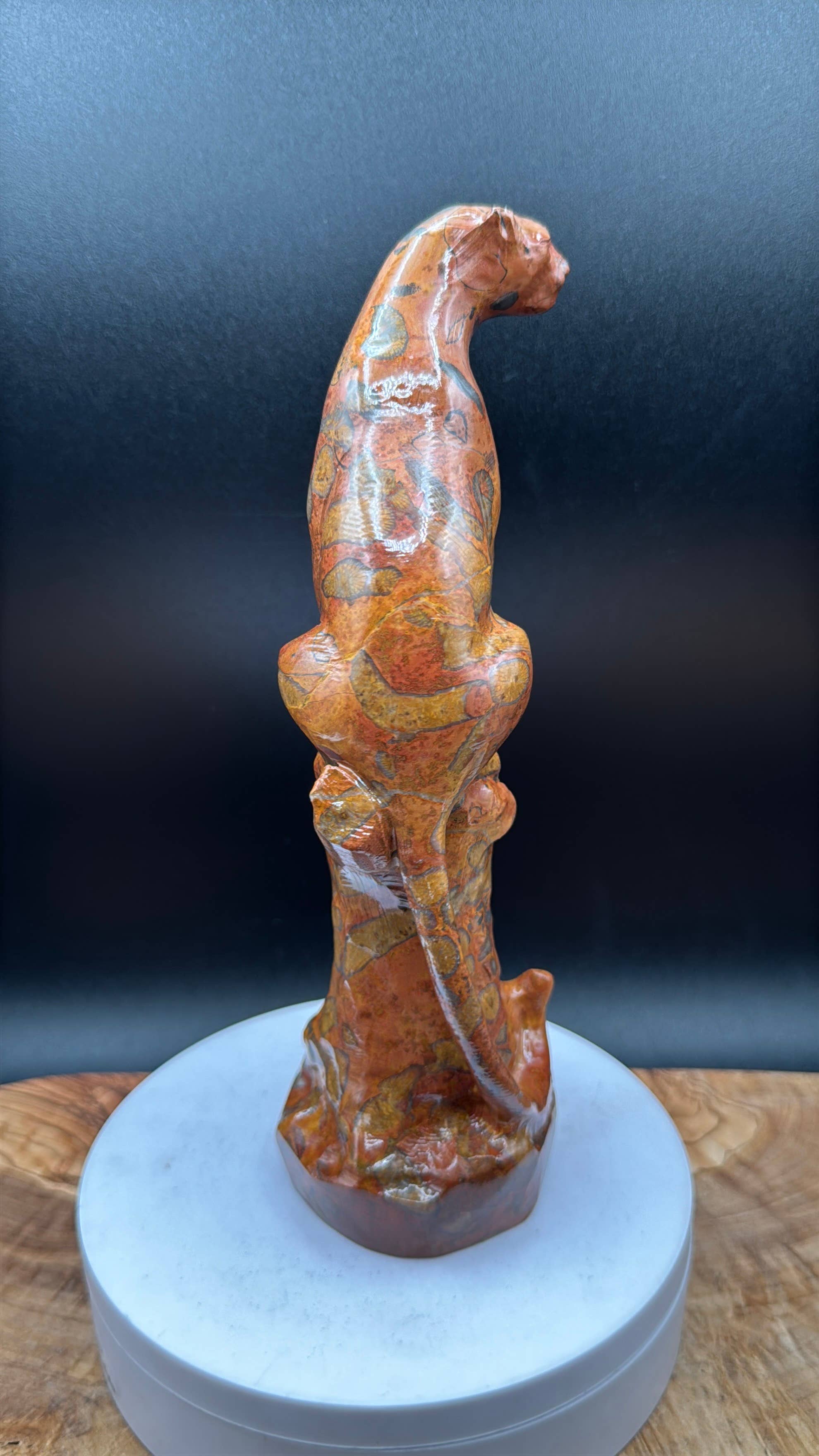 Leopard Skin Jasper Big Cat Carving on tree branch carving
