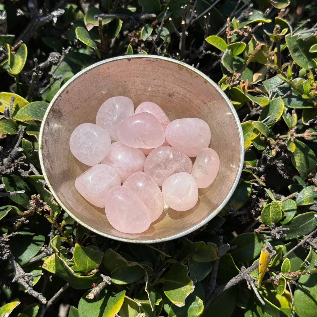 Rose Quartz Extra Small Tumble Stone