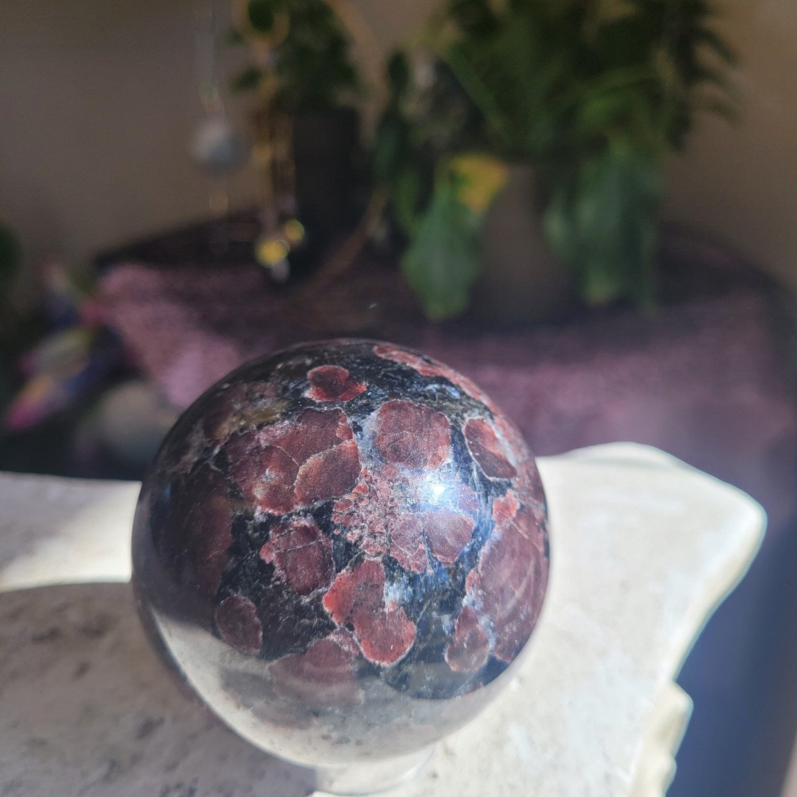 70.1mm Garnet and Arfvedsonite sphere alternate sunlight view showing red crystal clusters