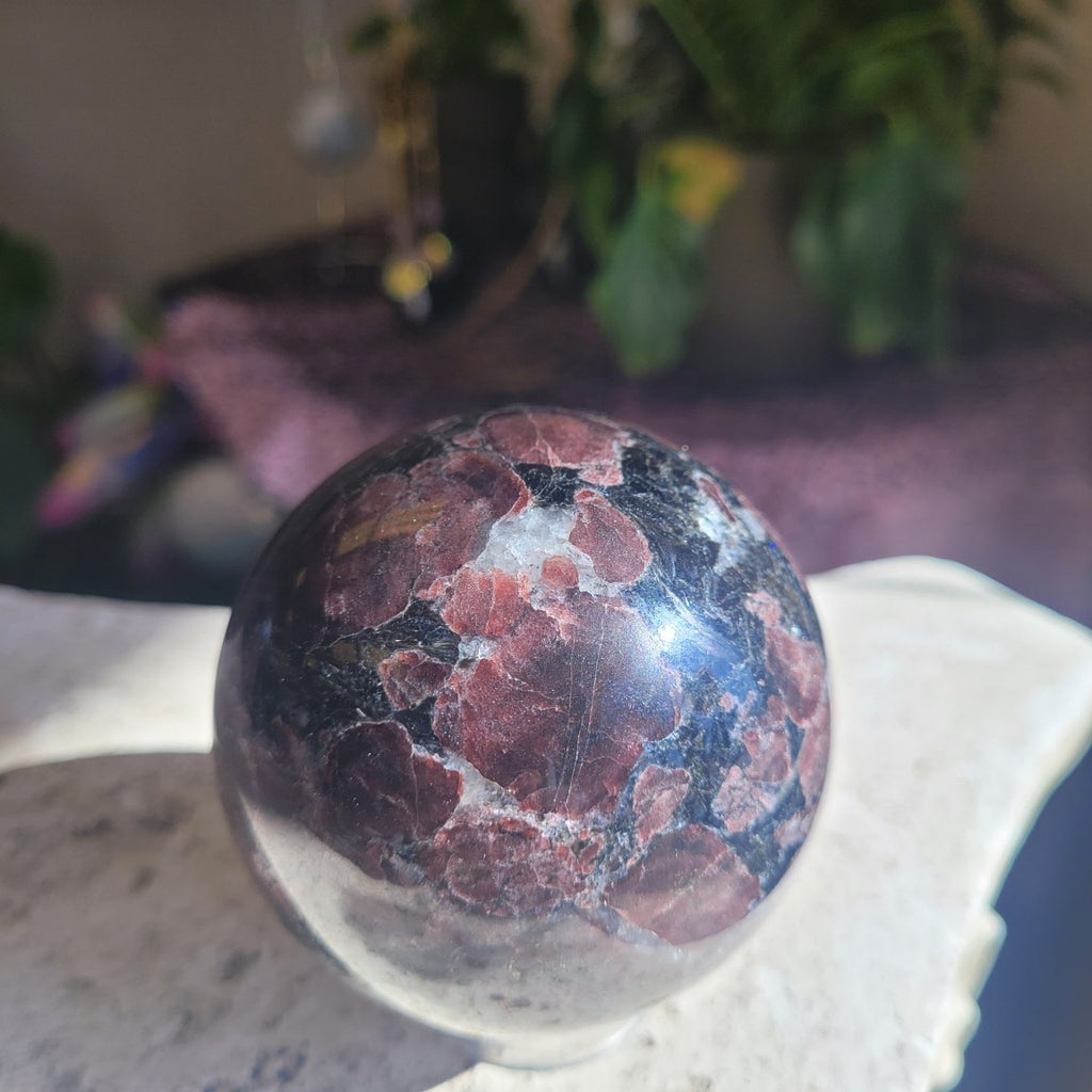 Natural Garnet and Arfvedsonite sphere in sunlight showing large wine-red garnet crystals