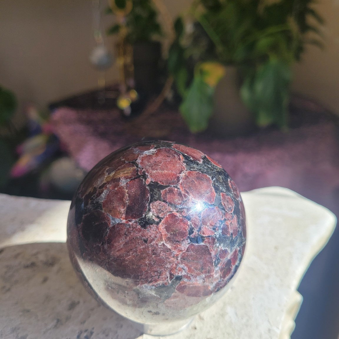 70.1mm Garnet and Arfvedsonite sphere in natural sunlight showing deep red garnets and dark matrix