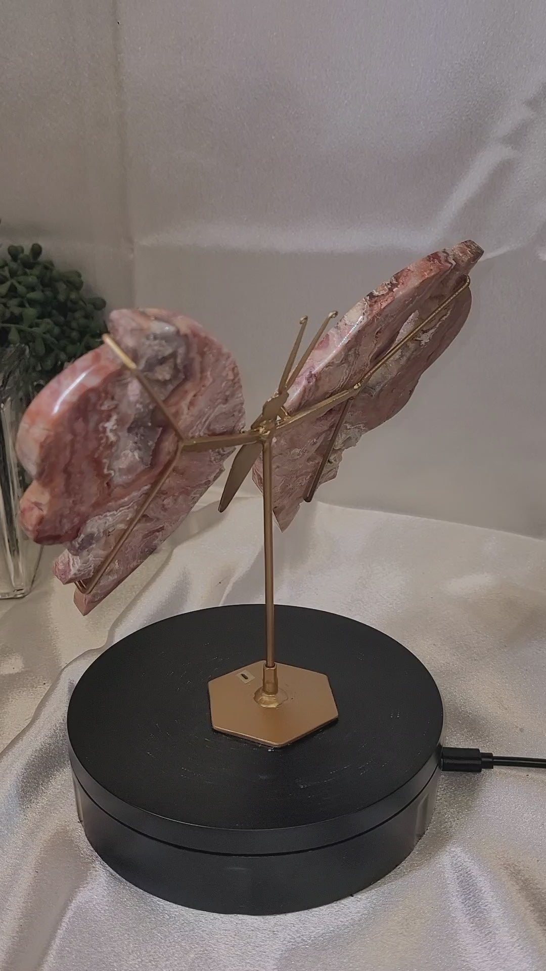 Pink Crazy Lace Agate Butterfly on Gold Stand | Druzy Crystal Butterfly Sculpture | 7.5" Wide