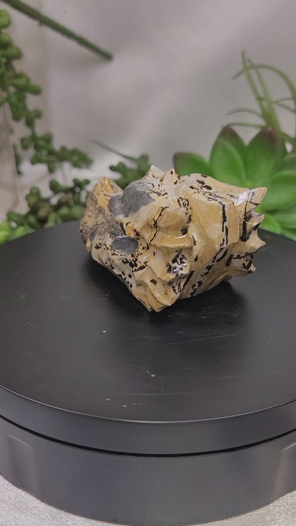 Picture Jasper Dragon Head Carving | Natural Crystal Dragon Skull | 75.2mm | One-of-a-Kind