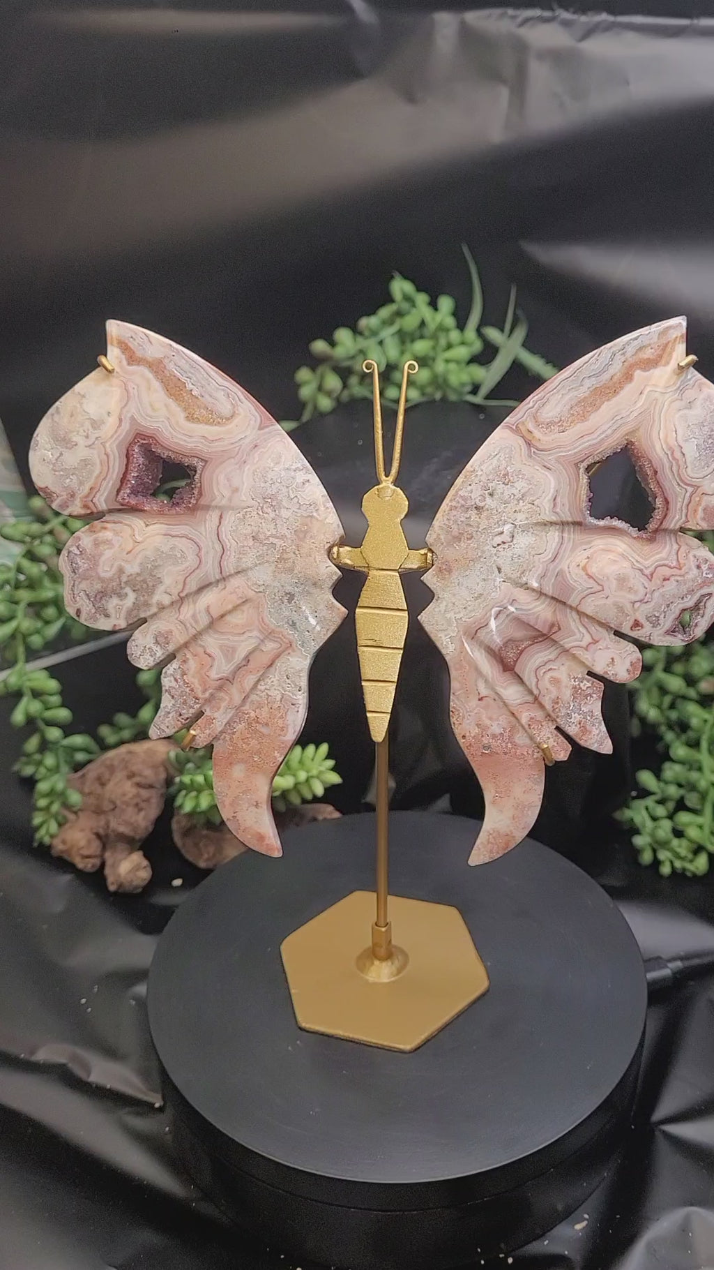 Pink Crazy Lace Agate Butterfly Wings with Druzy
