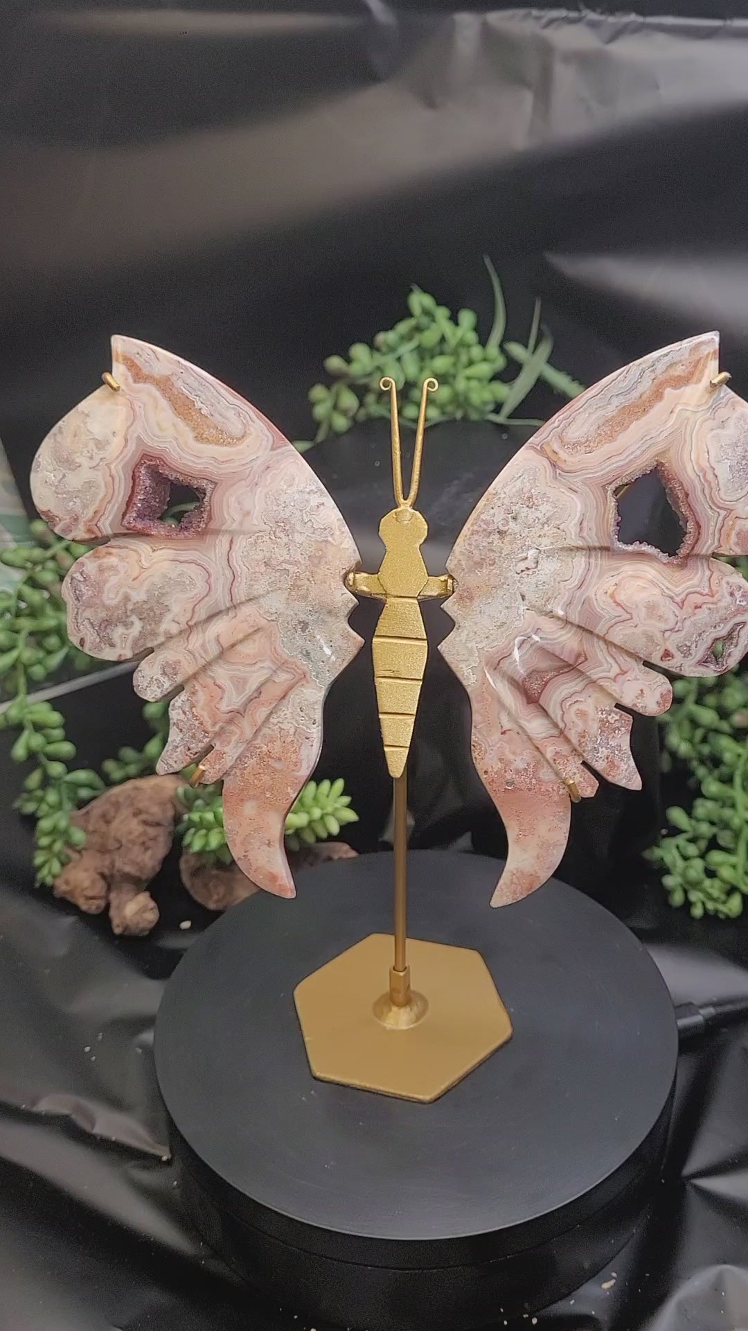 Pink Crazy Lace Agate Butterfly Wings with Druzy
