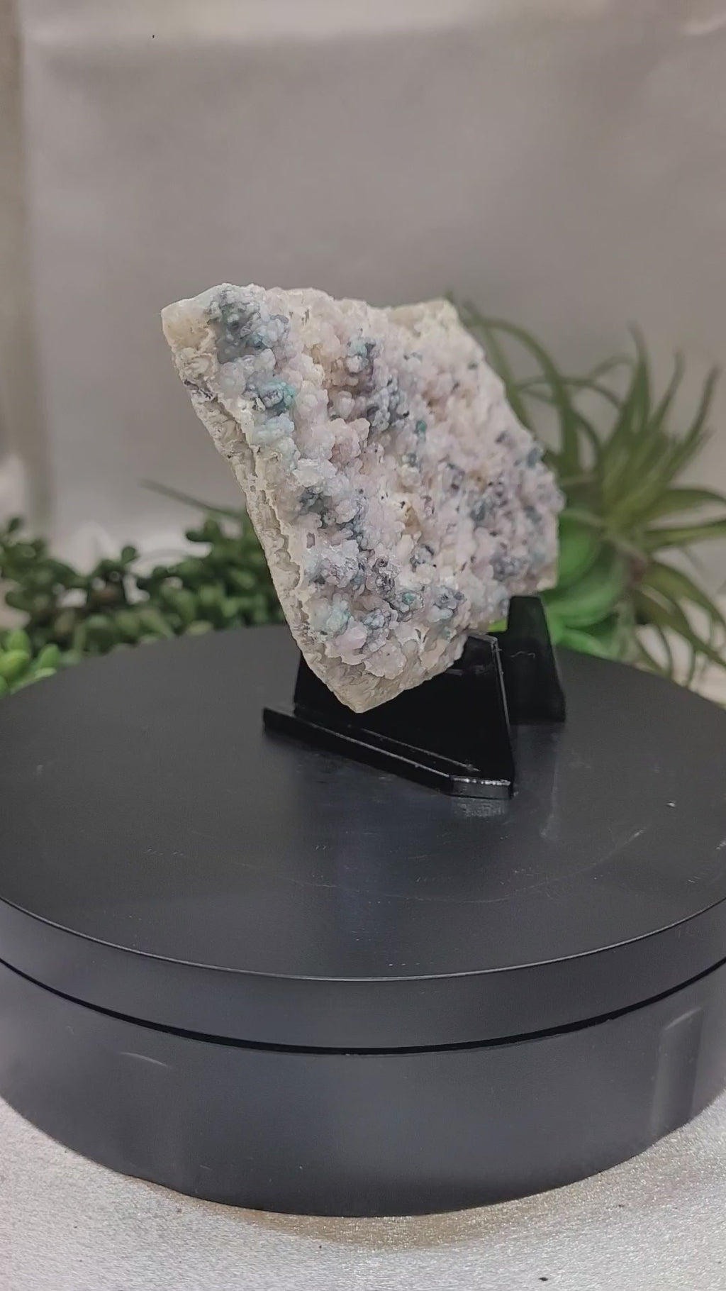 Botryoidal Chrysocolla on Chalcedony | Natural Mineral Specimen | Exact Piece