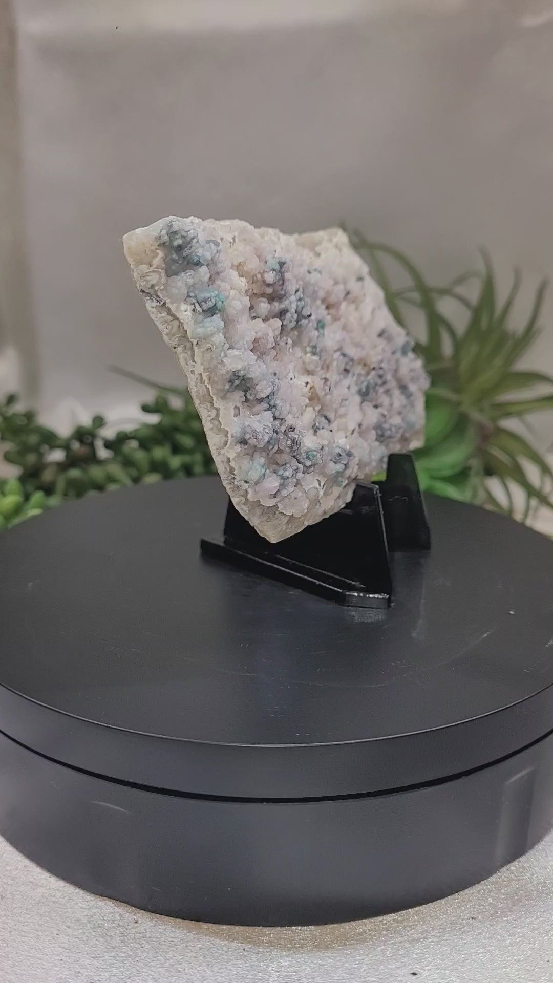 Botryoidal Chrysocolla on Chalcedony | Natural Mineral Specimen | Exact Piece