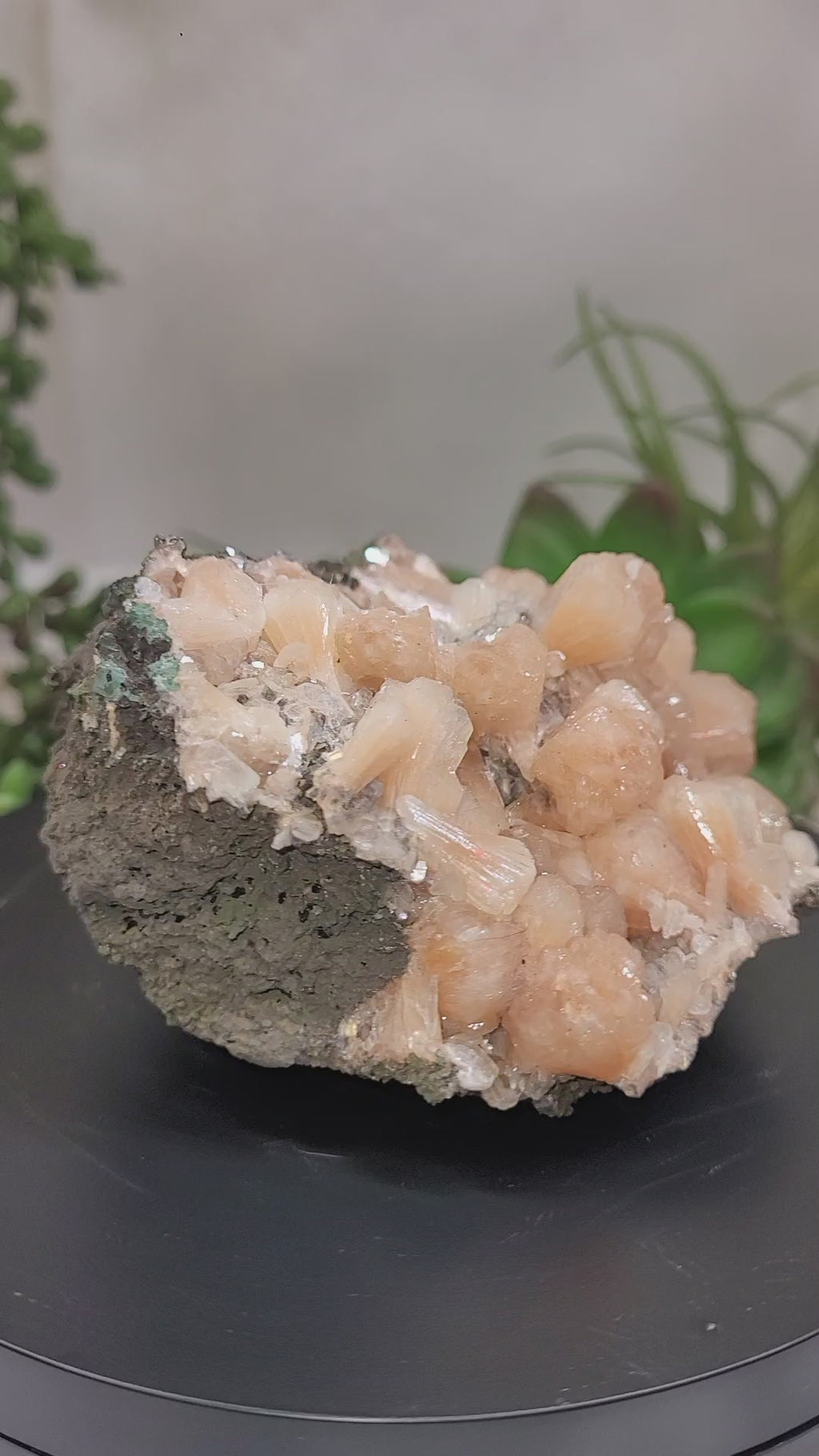 Peach Stilbite with Apophyllite on Matrix | Natural Mineral Specimen | Exact Piece