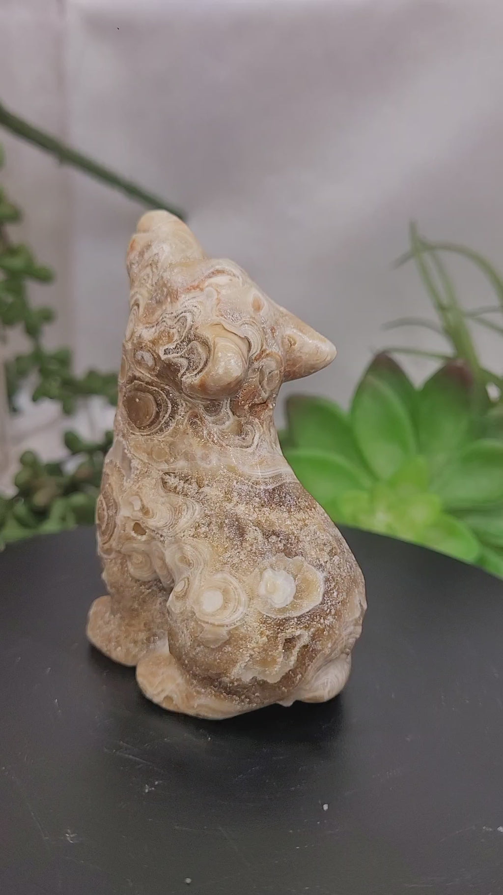 Amber Orbicular Calcite Wolf | UV Reactive