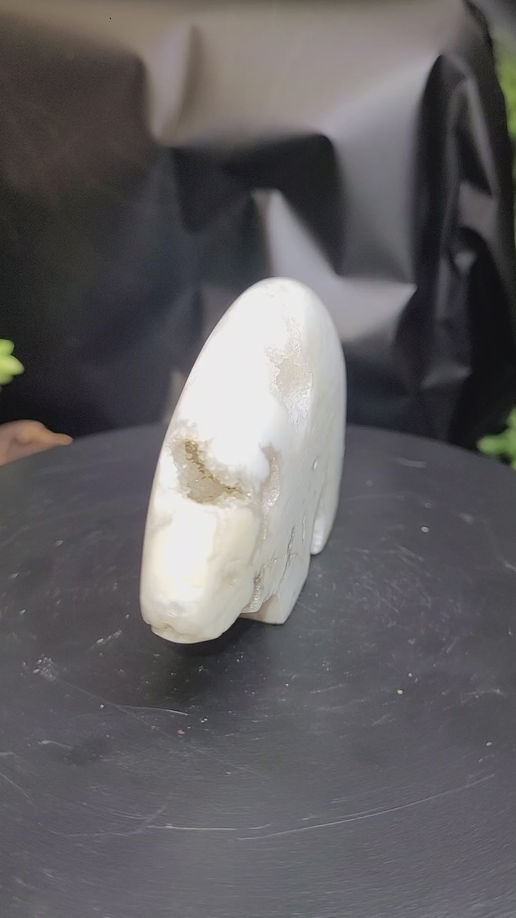 White Plume Agate Bear • Natural Quartz Vugs