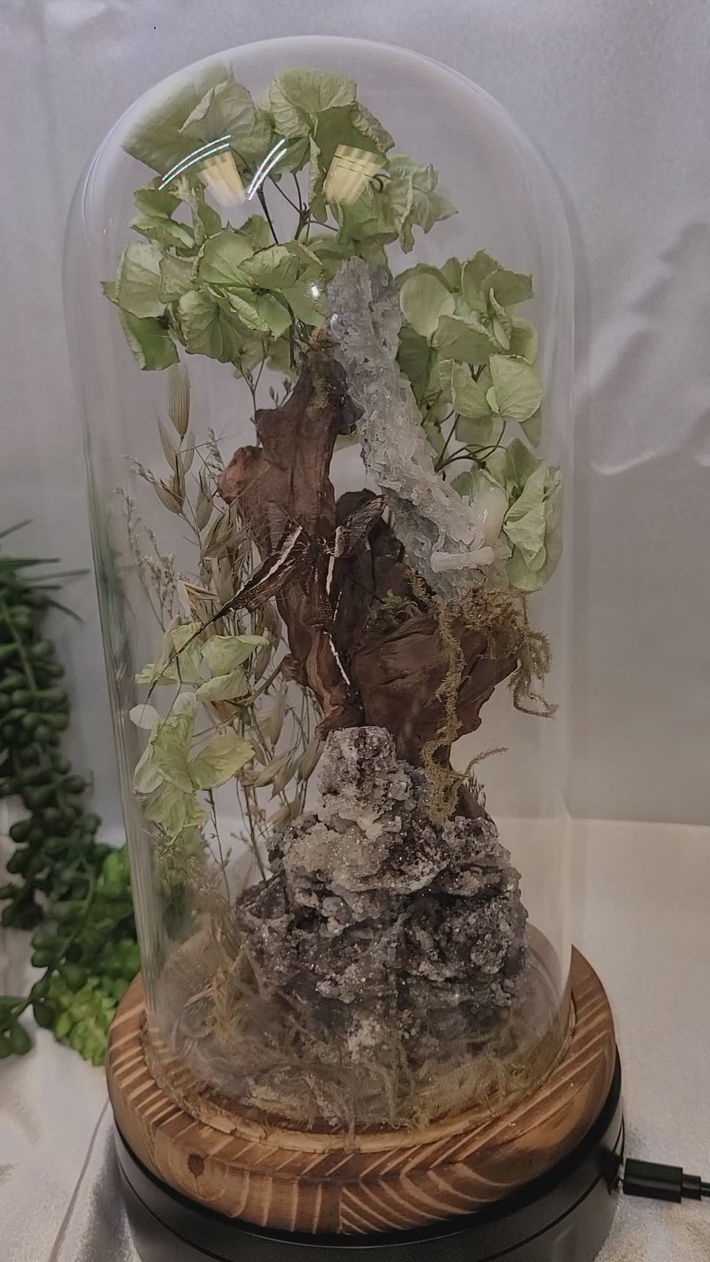 Whispering Grove Crystal Cloche