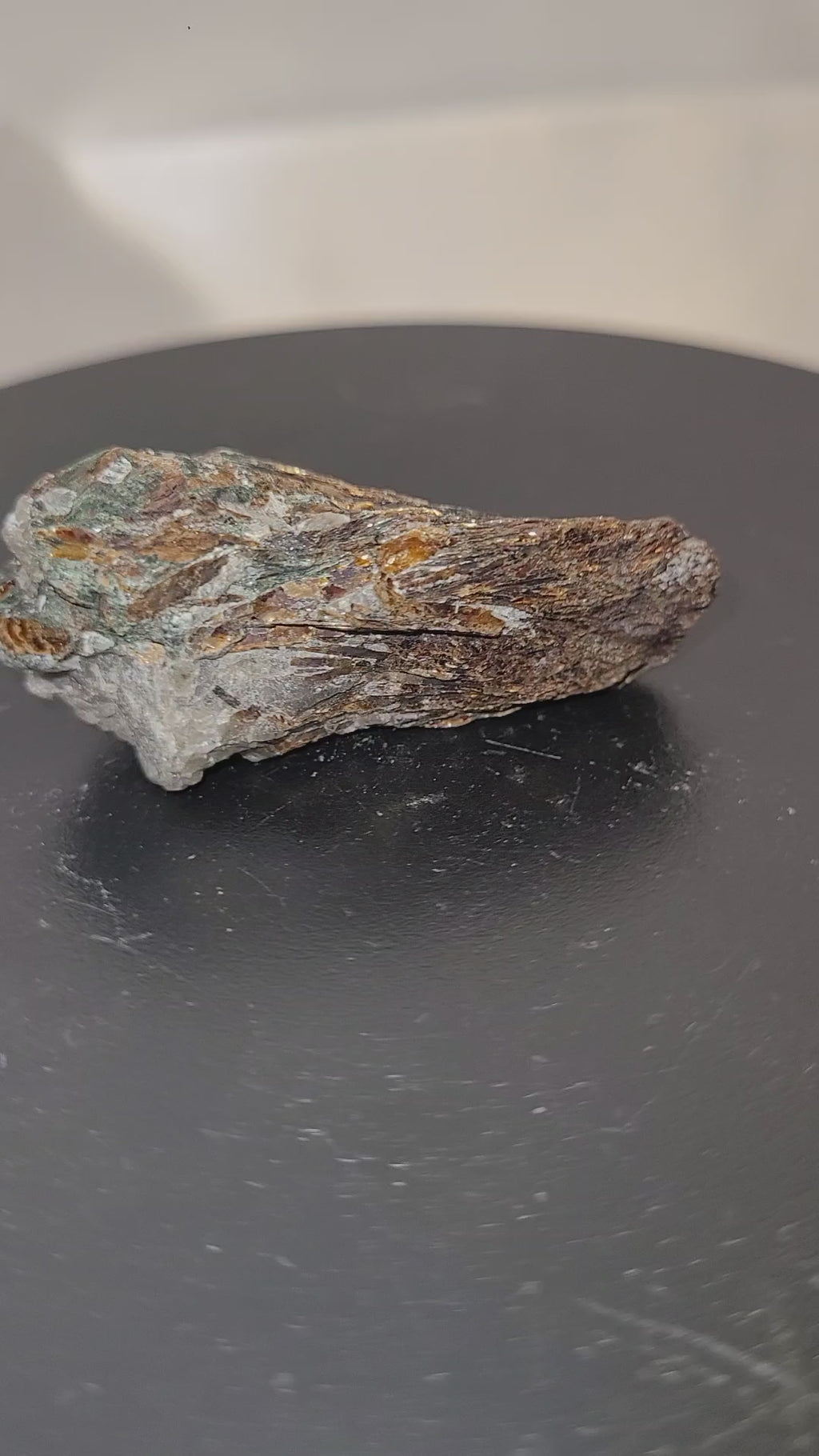 Astrophyllite Rough Specimen | Golden Starburst Crystal in Matrix | 28g