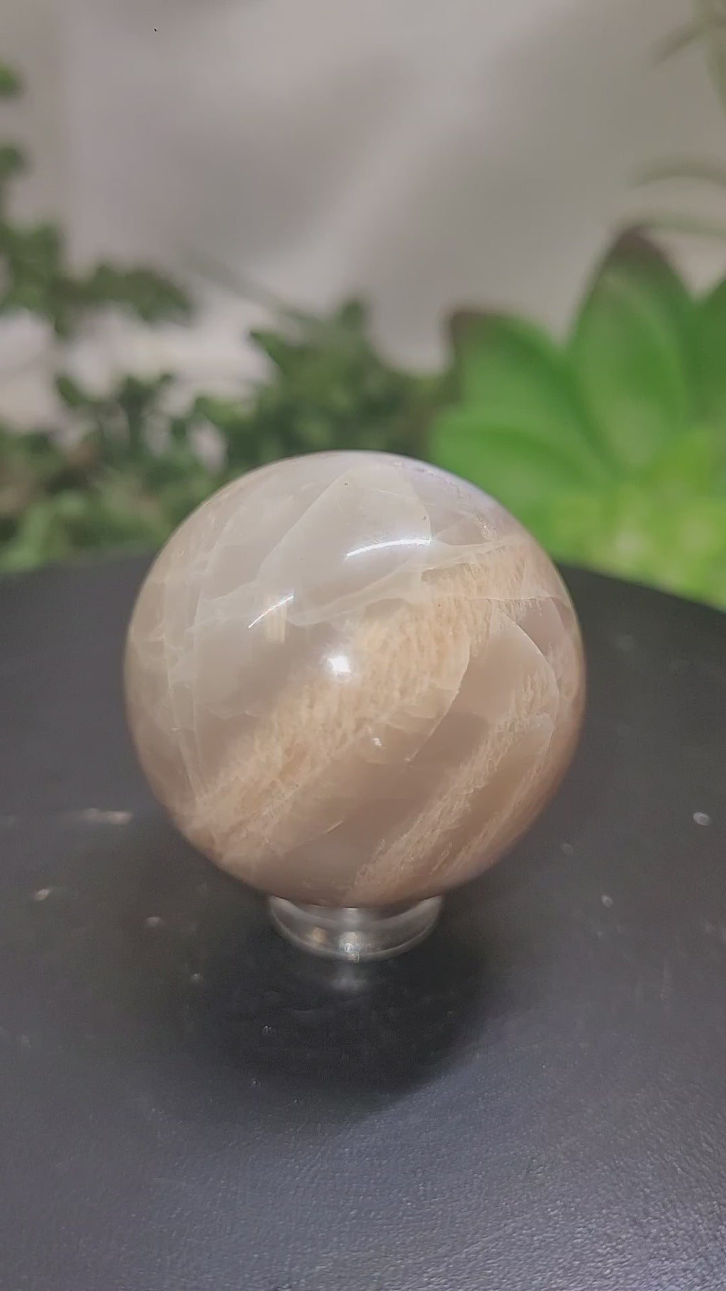 Peach Moonstone Sphere | 31.1mm Natural Crystal Sphere | Soft Pearly Sheen | Collector Display