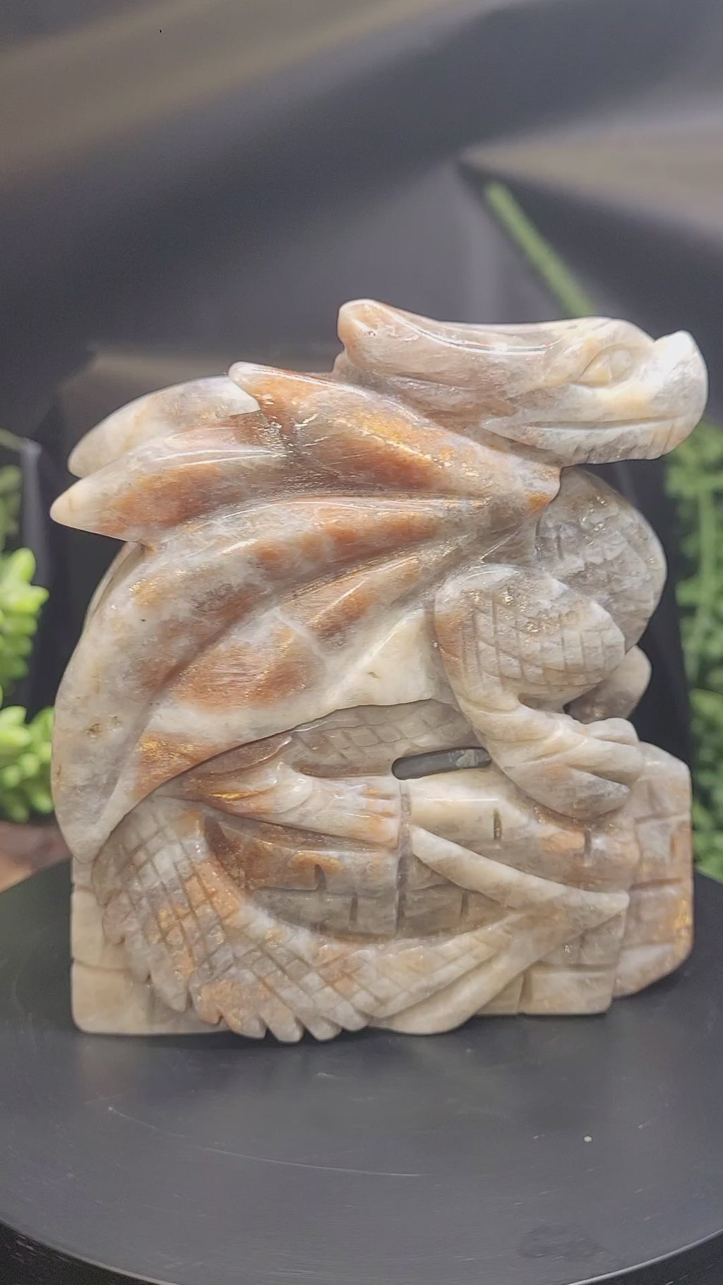 Moonstone with Sunstone Dragon • Natural Flash