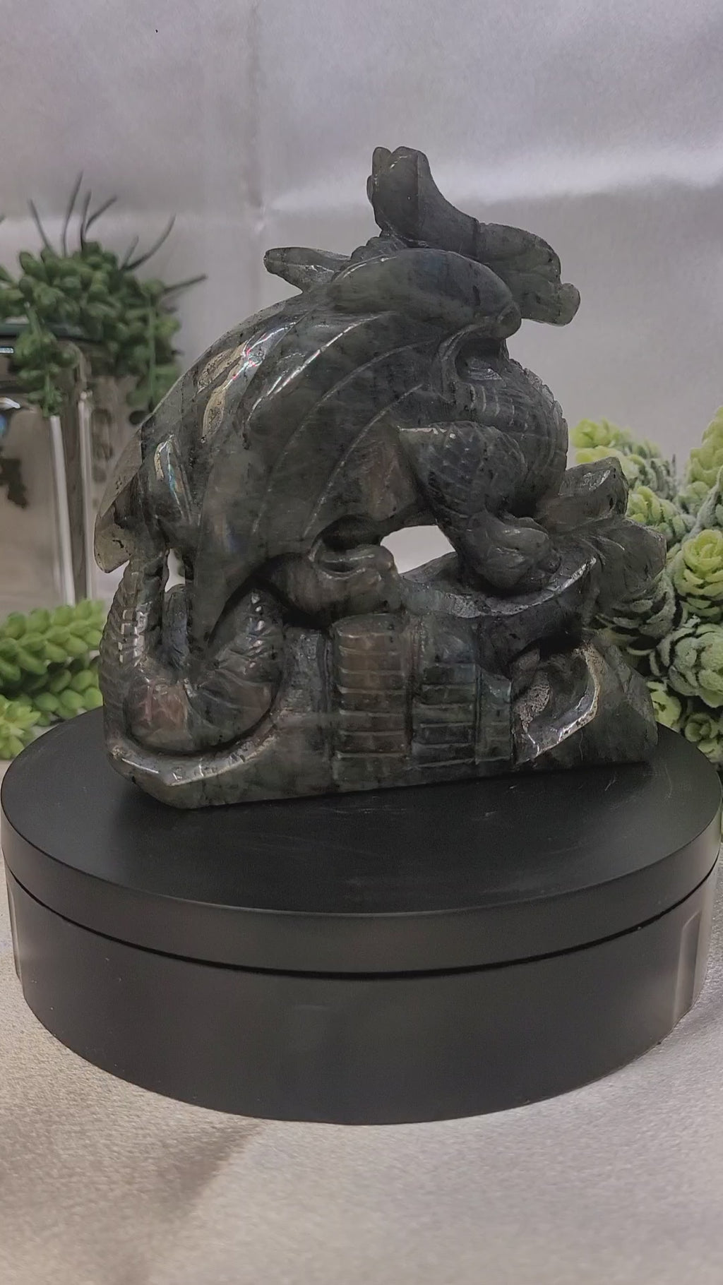 Labradorite Dragon Carving