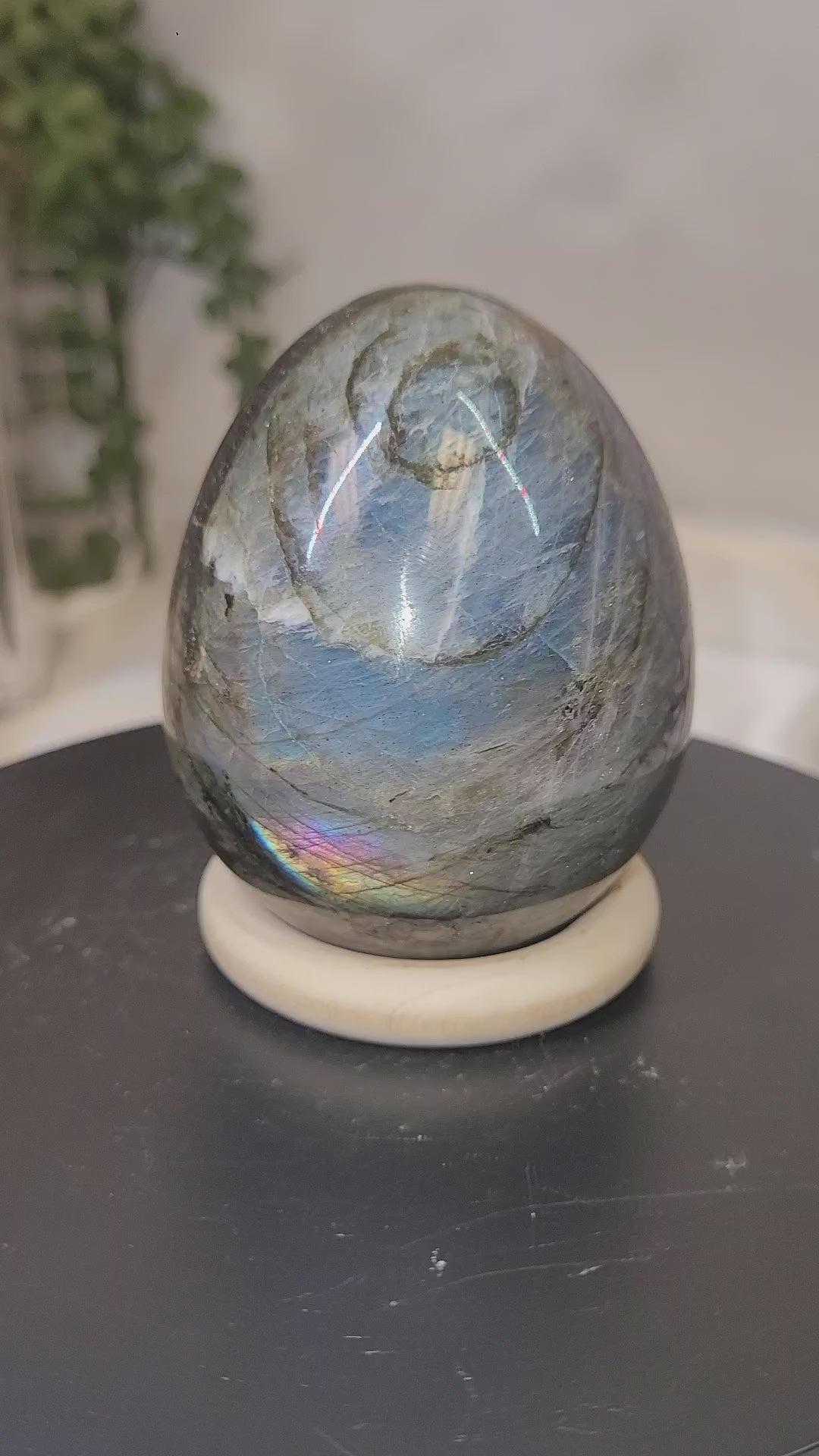 Labradorite Flash Egg | Blue Fire & Rainbow Flash Crystal Display