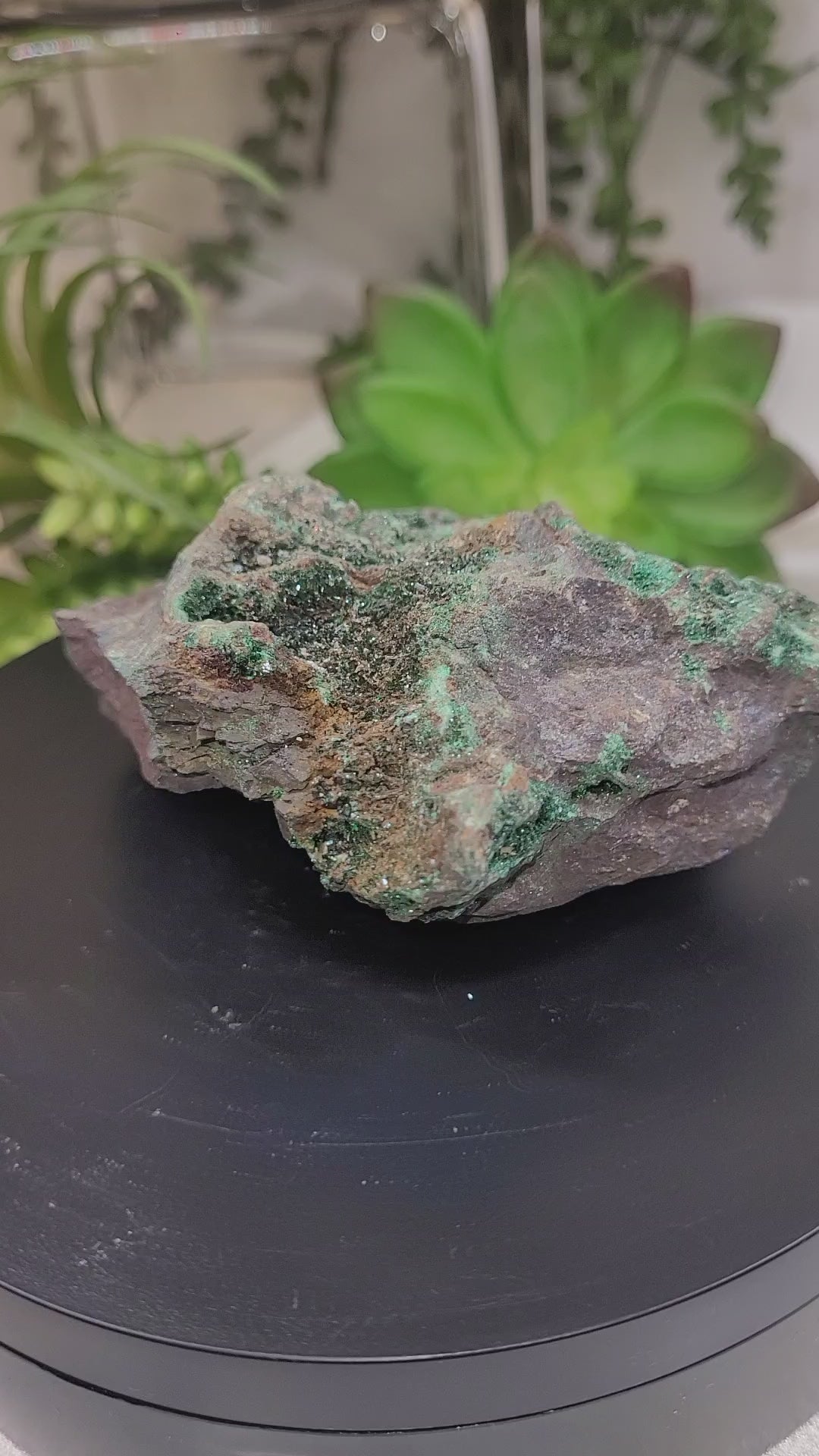 Sparkling Malachite Vug Specimen 383g