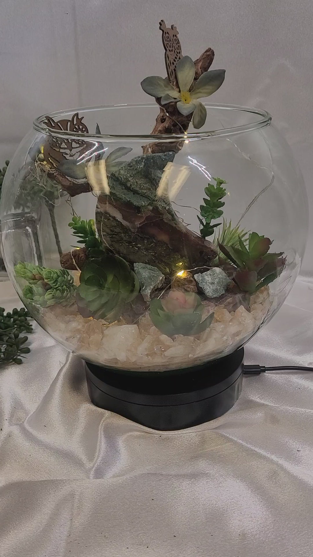 Mystic Moon Terrarium