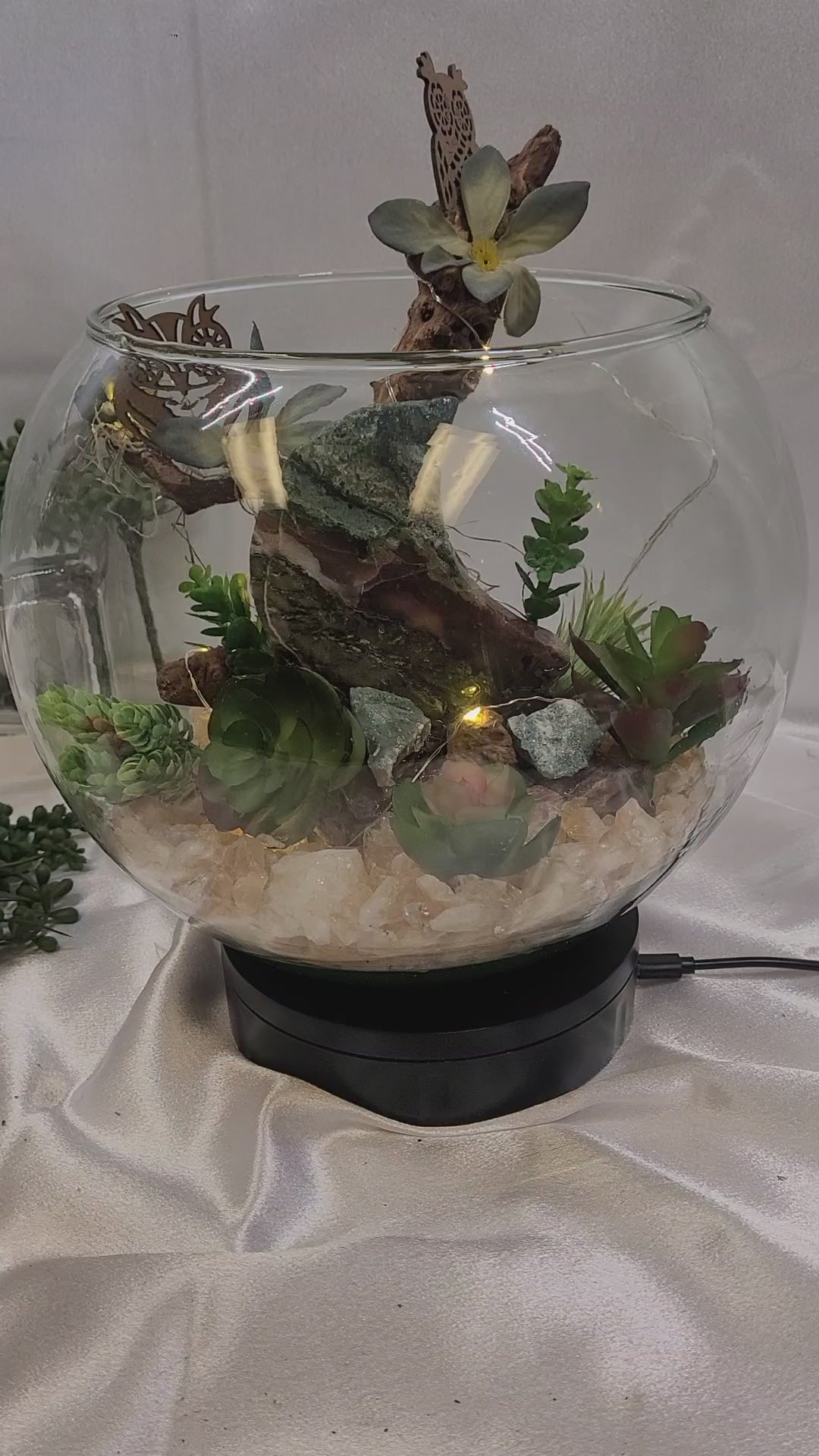 Mystic Moon Terrarium