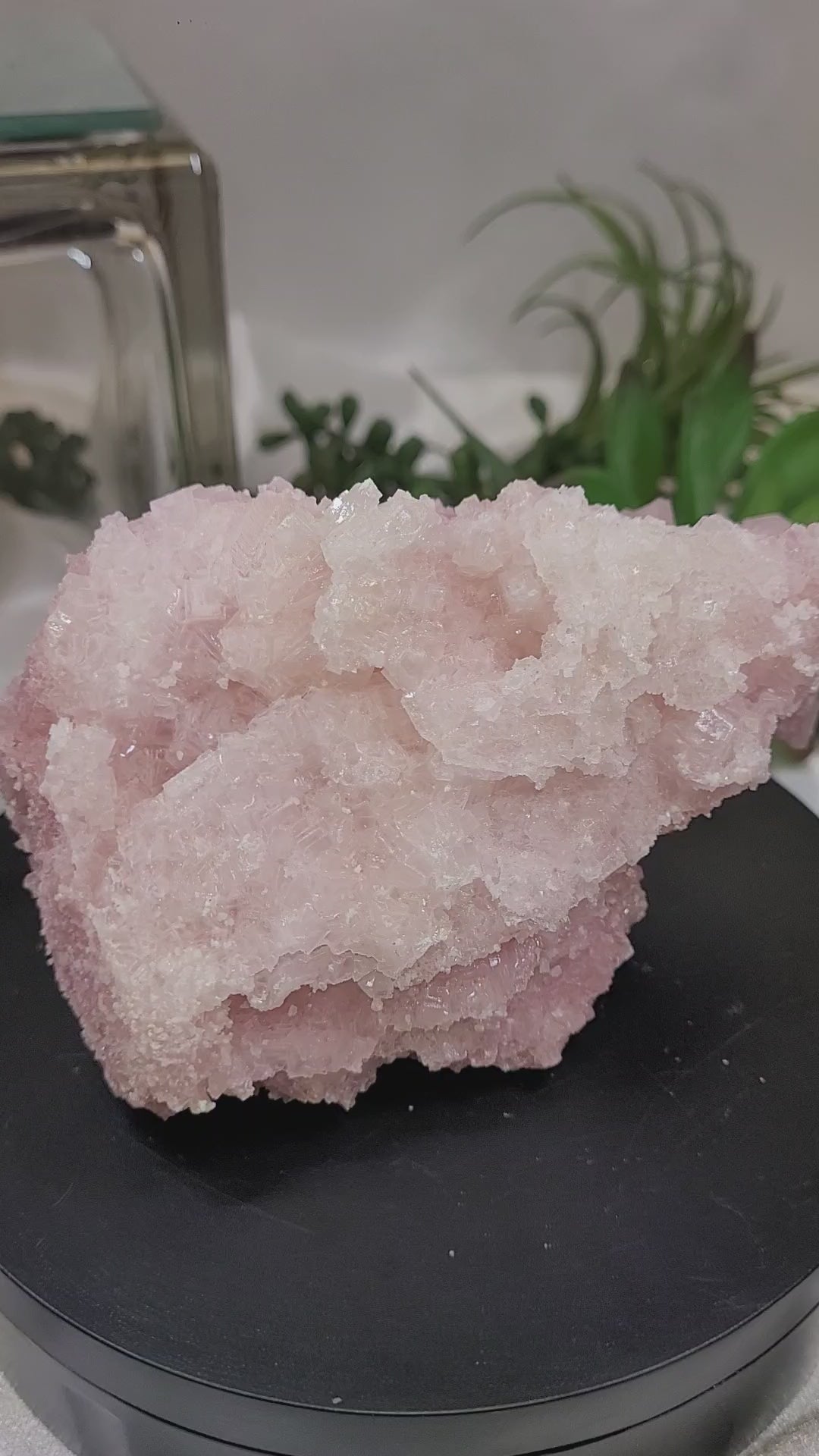 Pink Halite Crystal Specimen  | Trona, California | Natural Mineral Display Piece | 343g | 114.3mm