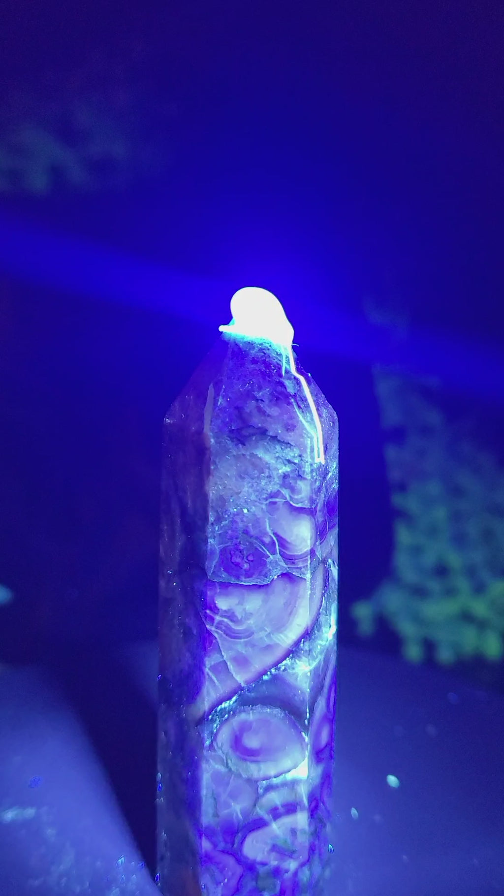 Root Fluorite Tower | UV Reactive Purple & Cream Crystal Point
