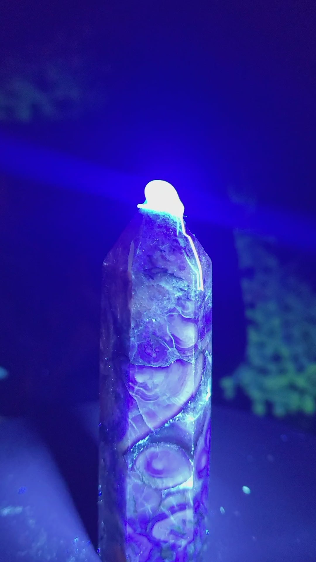 Root Fluorite Tower | UV Reactive Purple & Cream Crystal Point