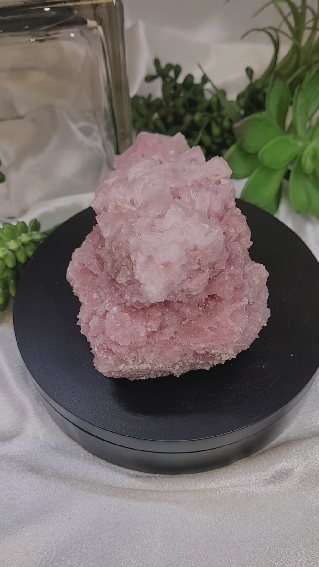 Pink Halite Crystal Specimen  | Trona, California | Natural Mineral Display Piece | 343g | 114.3mm