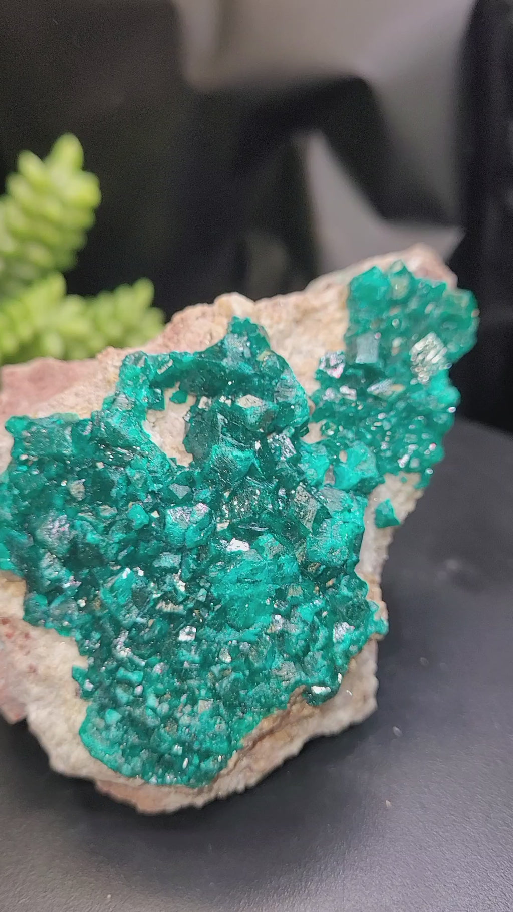 Dioptase Specimen on Matrix