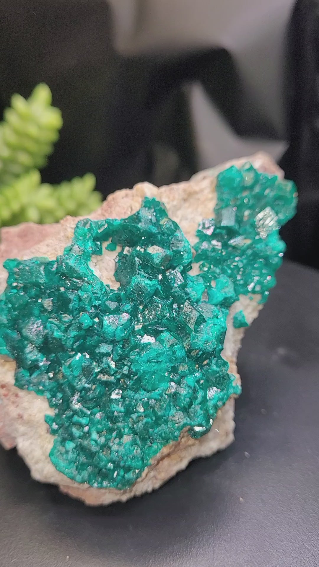 Dioptase Specimen on Matrix