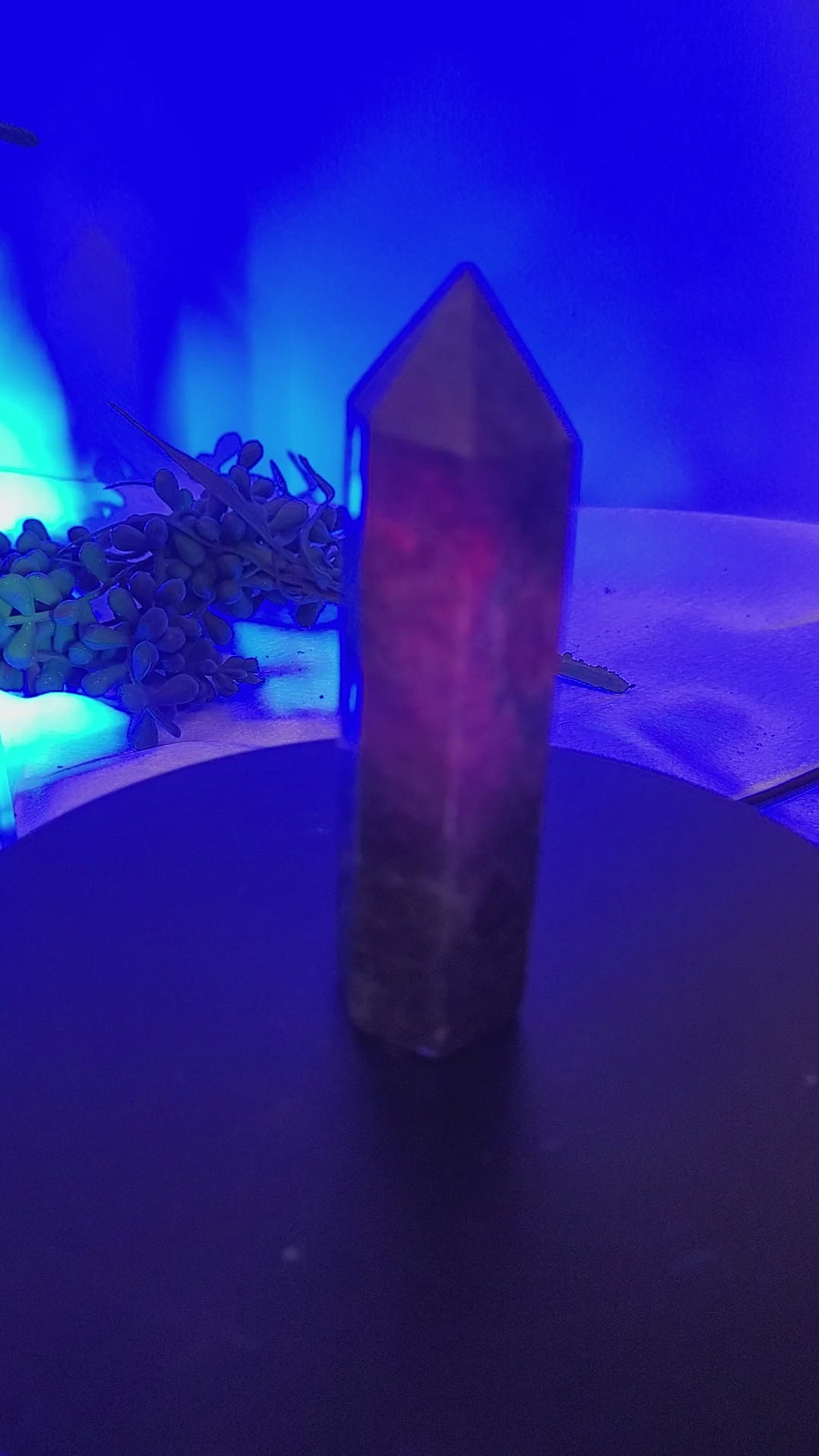 Ruby in Kyanite Tower |UV Reactive  90.7mm Natural Crystal Point | Fluorescent Ruby & Blue Kyanite Generator