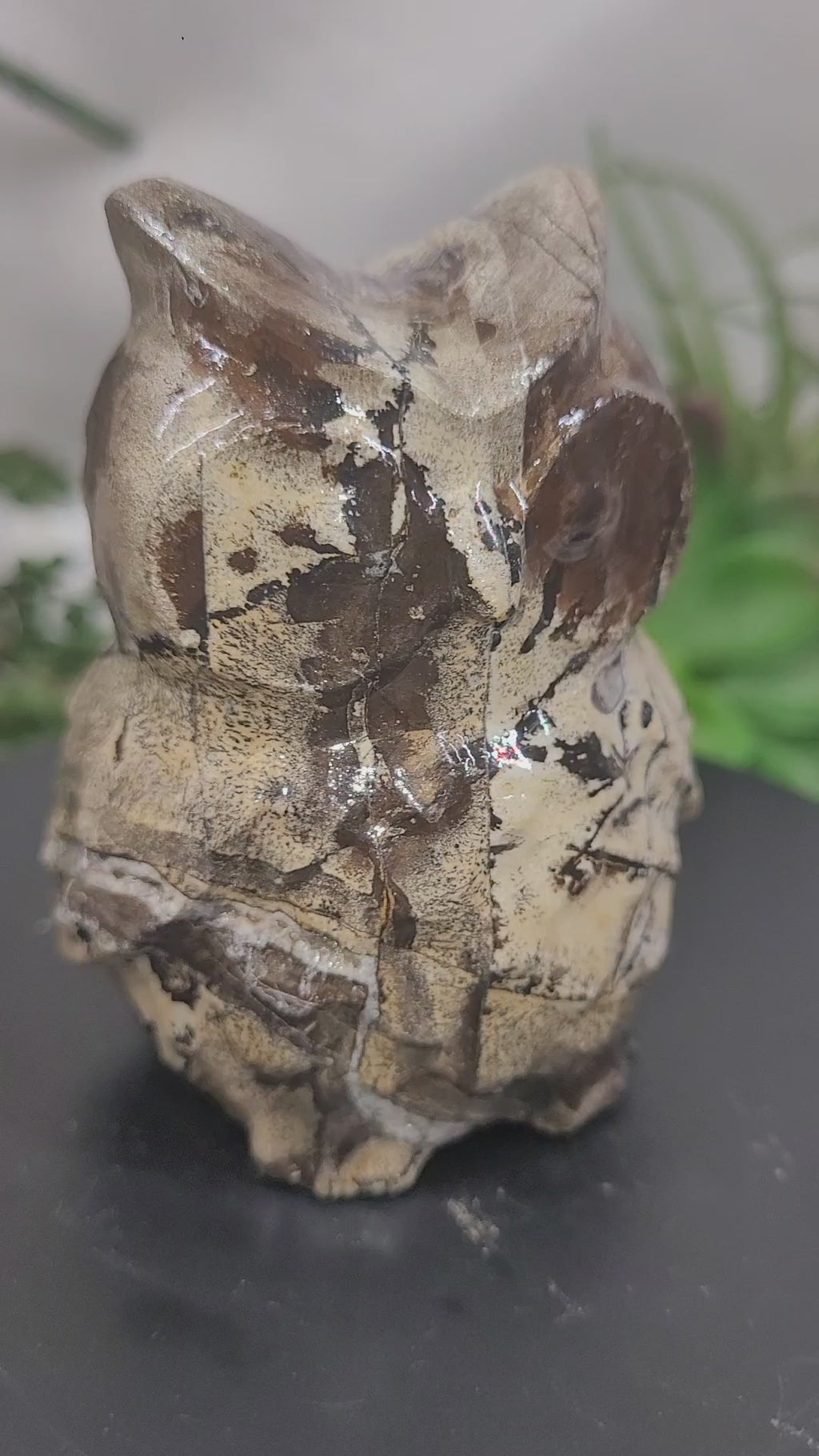 Picture Jasper Owl | One of a Kind 🦉
