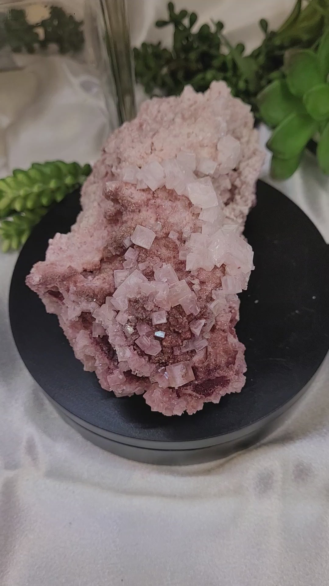 Pink Halite Crystal Specimen | Trona, California | Collector Mineral Display Piece | 445g | 134.3mm