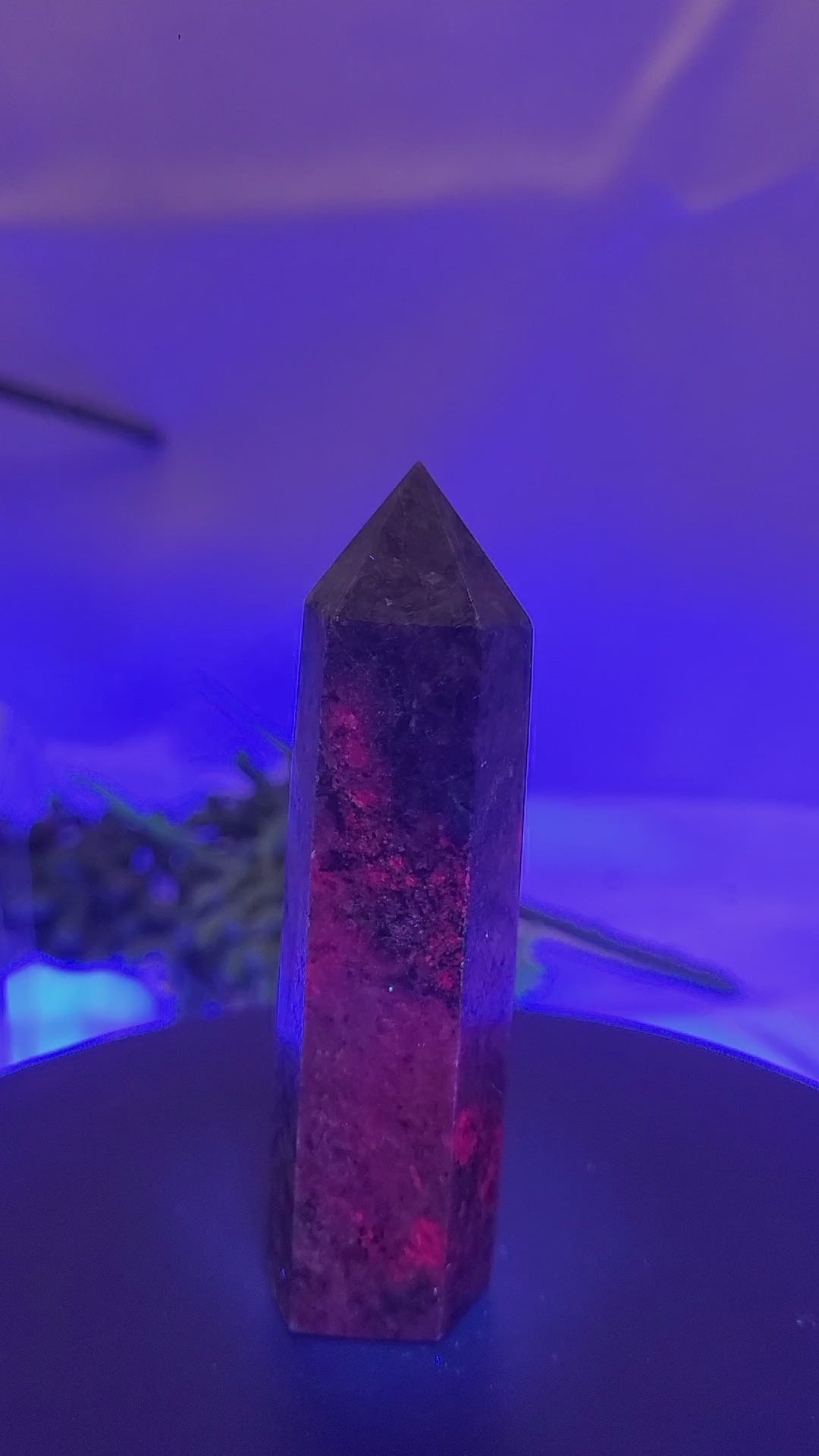UV Reactive Ruby in Kyanite Tower | 85mm Natural Crystal Point | Fluorescent Ruby & Blue Kyanite Generator