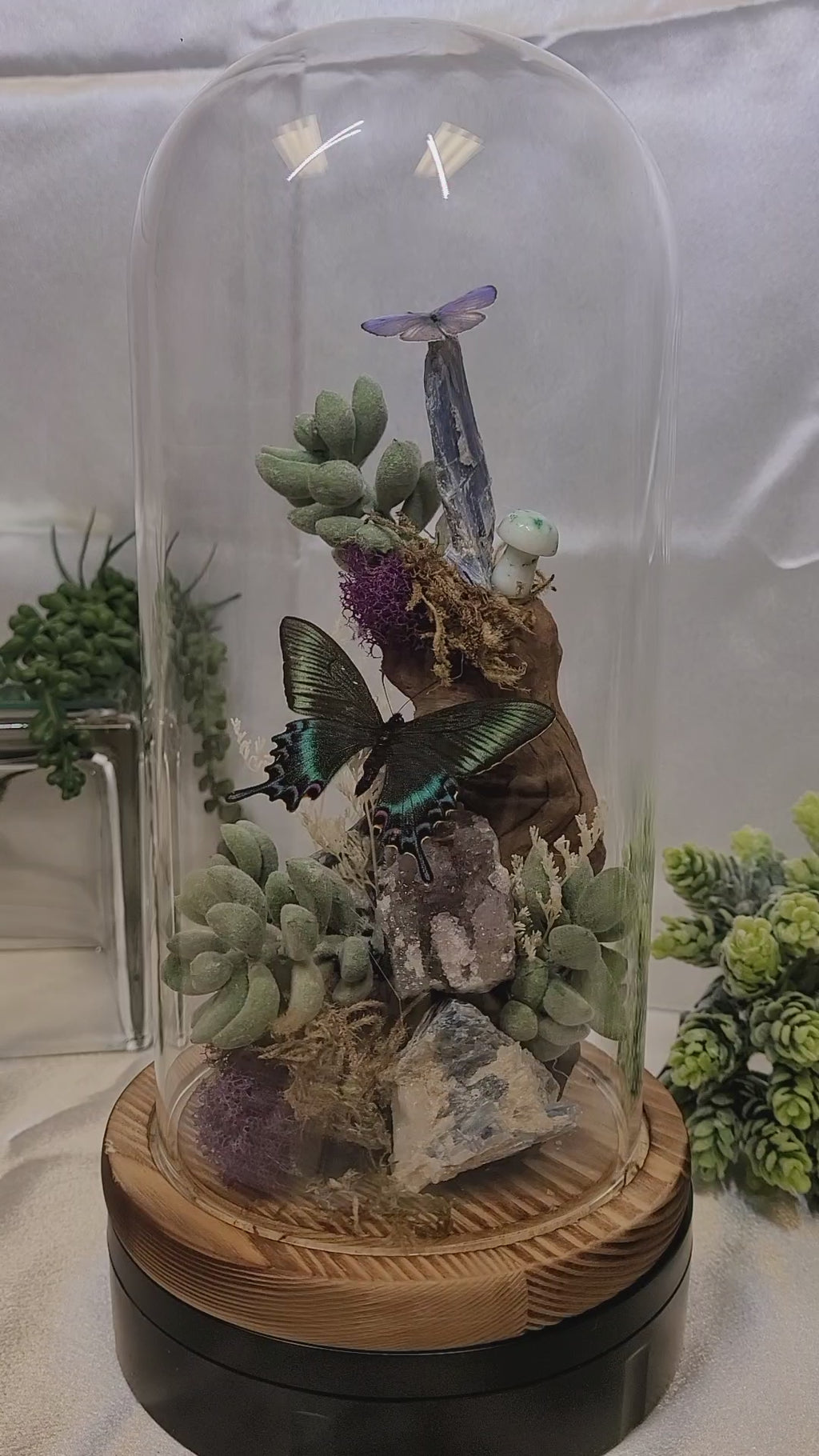 The Twilight Conservatory • Crystal Butterfly Bell Jar