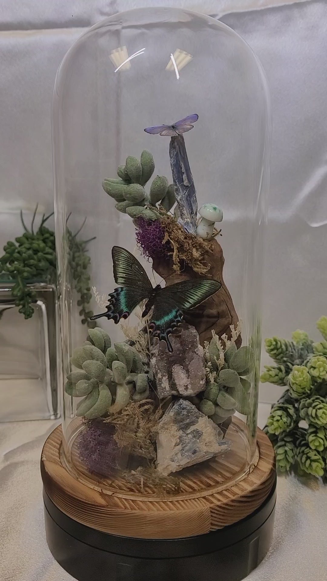 The Twilight Conservatory • Crystal Butterfly Bell Jar