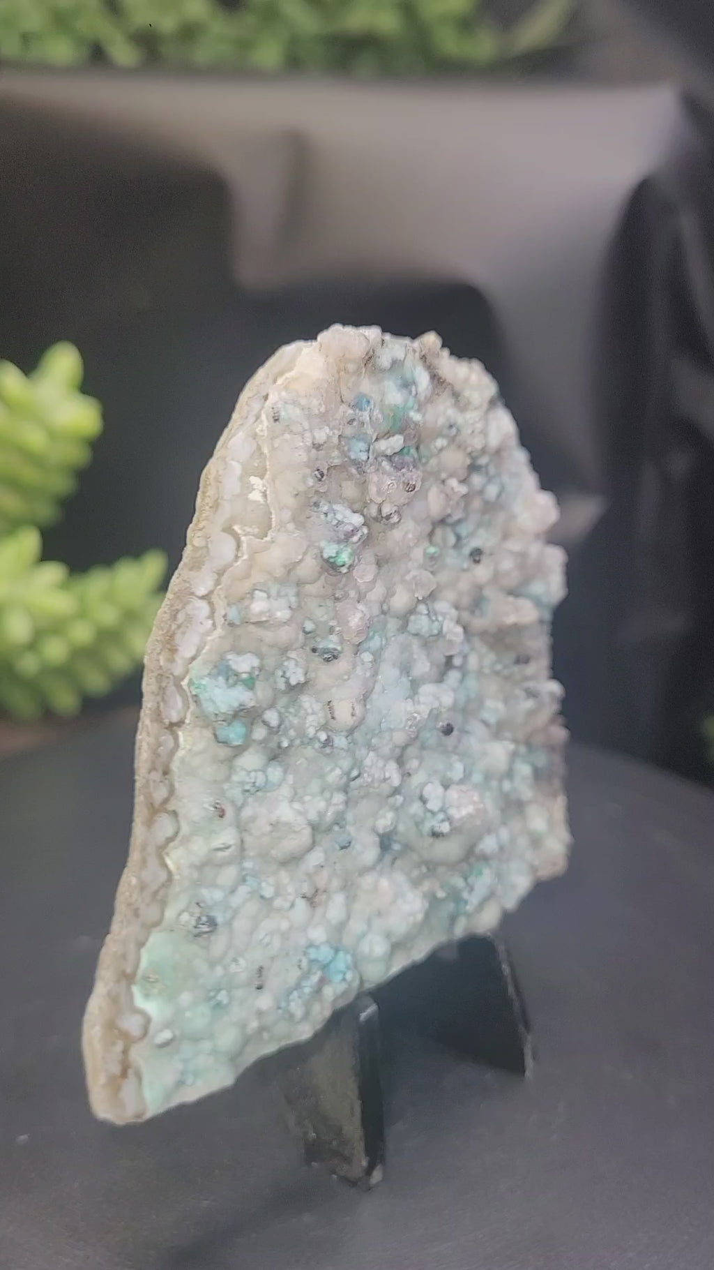 Botryoidal Chrysocolla Specimen • Dendritic Matrix