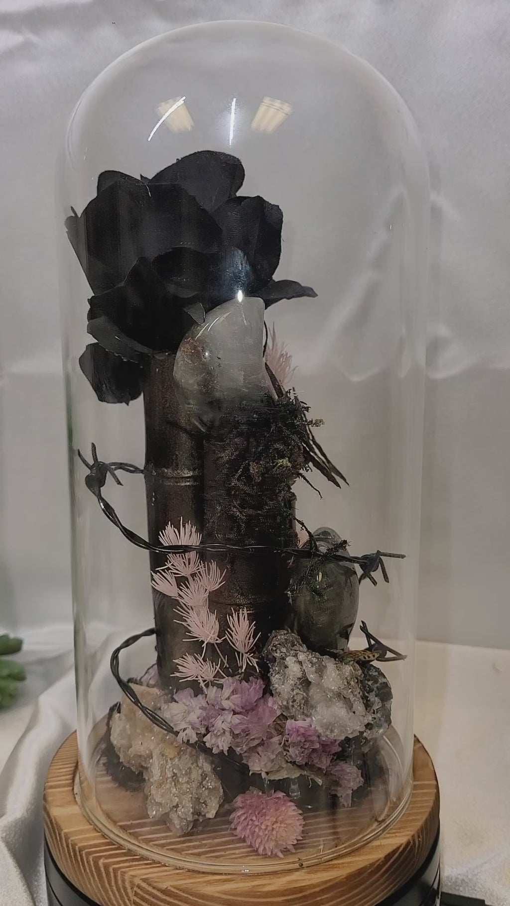 Midnight Reliquary Under Glass | Black Rose, Garden Quartz, Butterfly & Crystal Art Dome