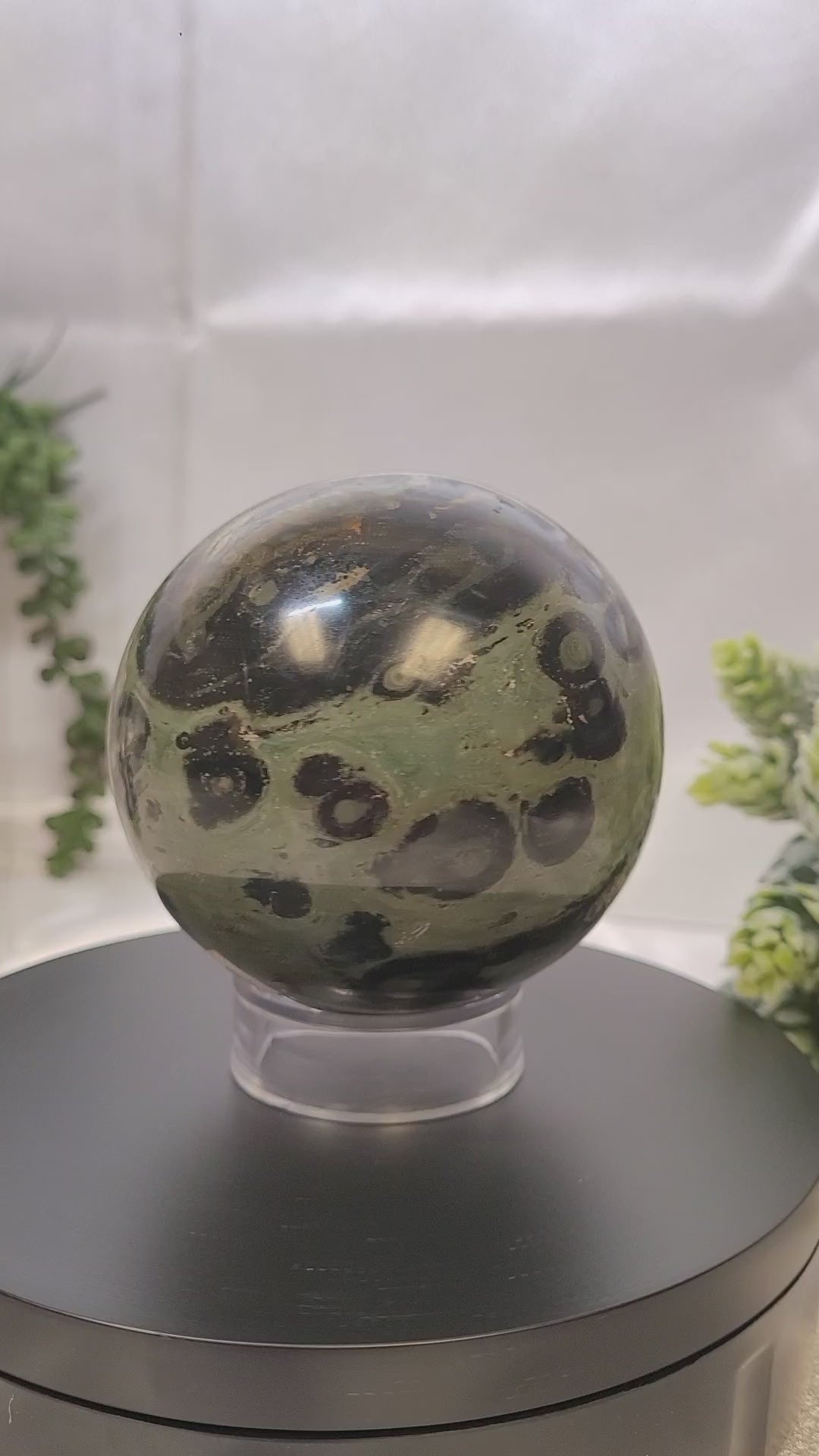 Kambaba Jasper Sphere ~The Moss Eclipse •