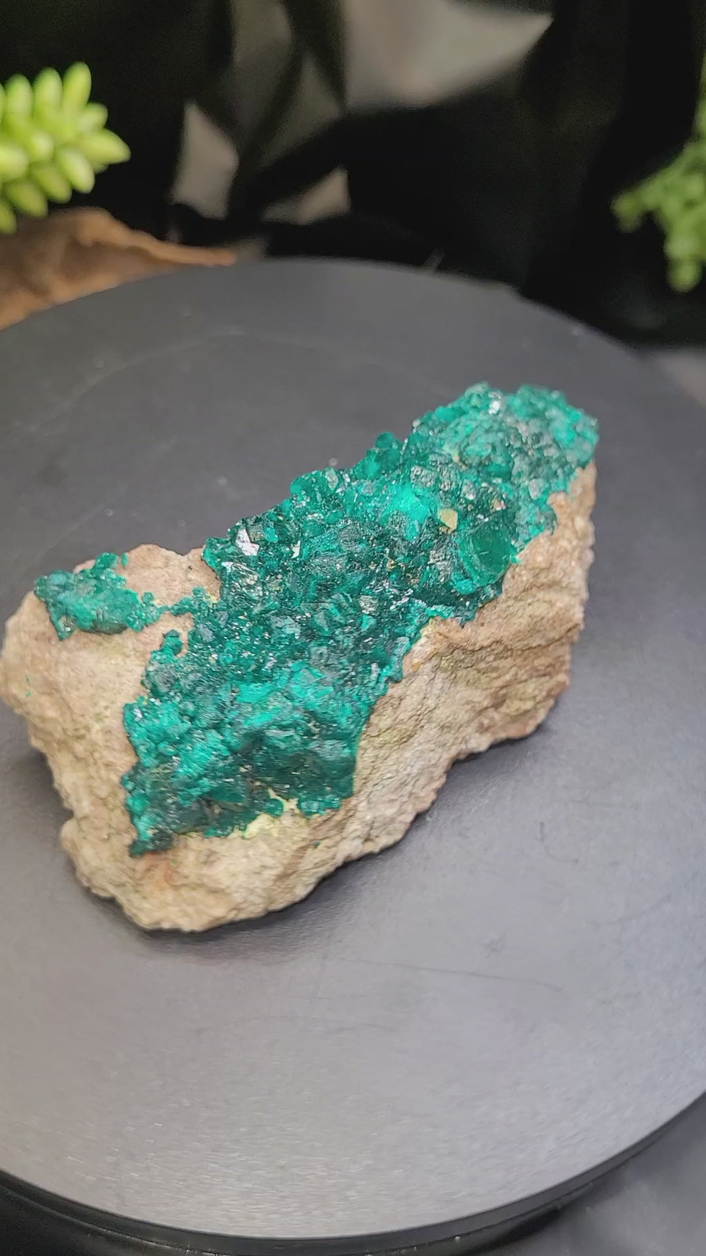 Dioptase Specimen on Matrix