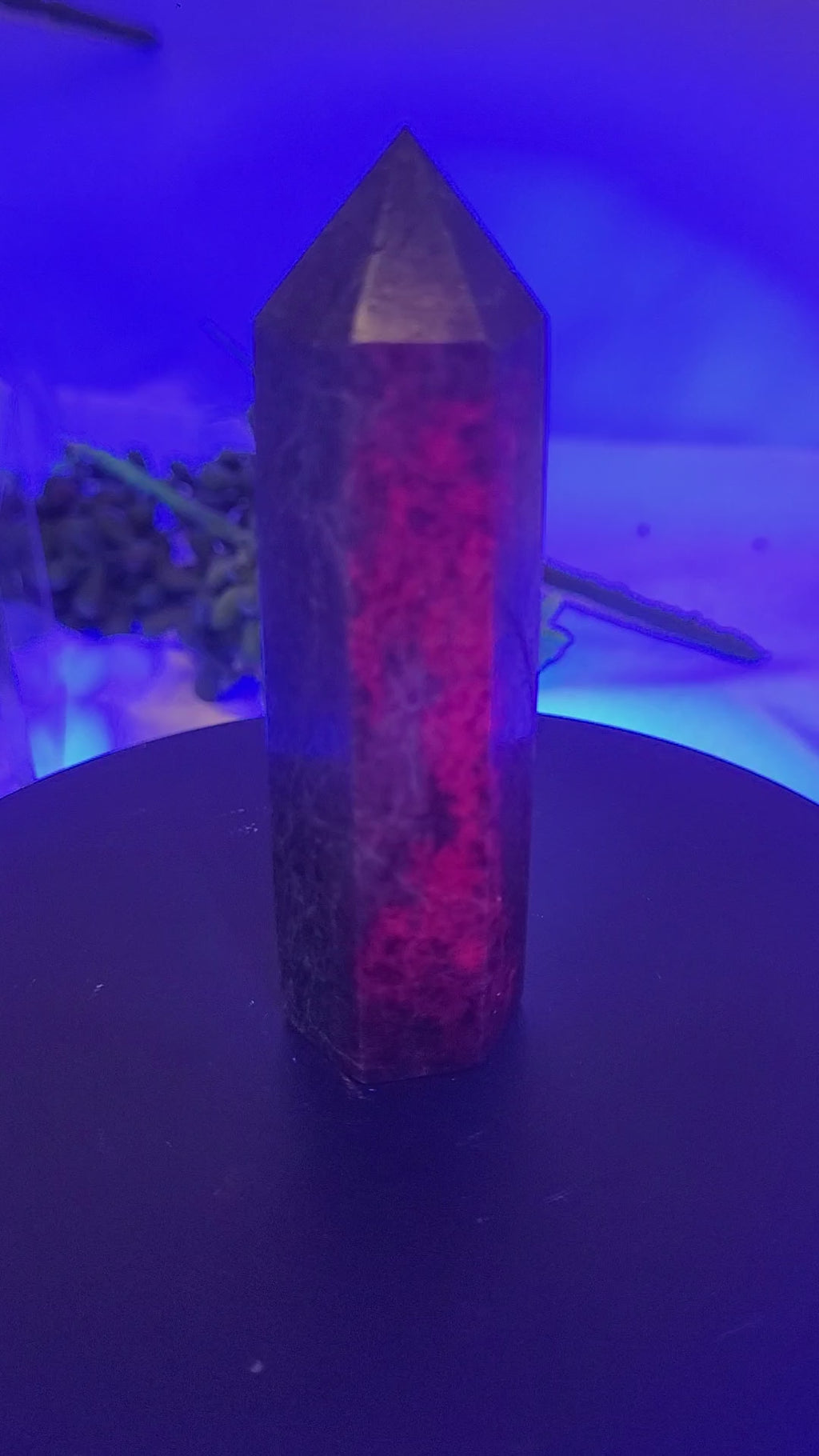 UV Reactive Ruby in Kyanite Tower | 88.7mm Natural Crystal Point | Fluorescent Ruby & Blue Kyanite Generator