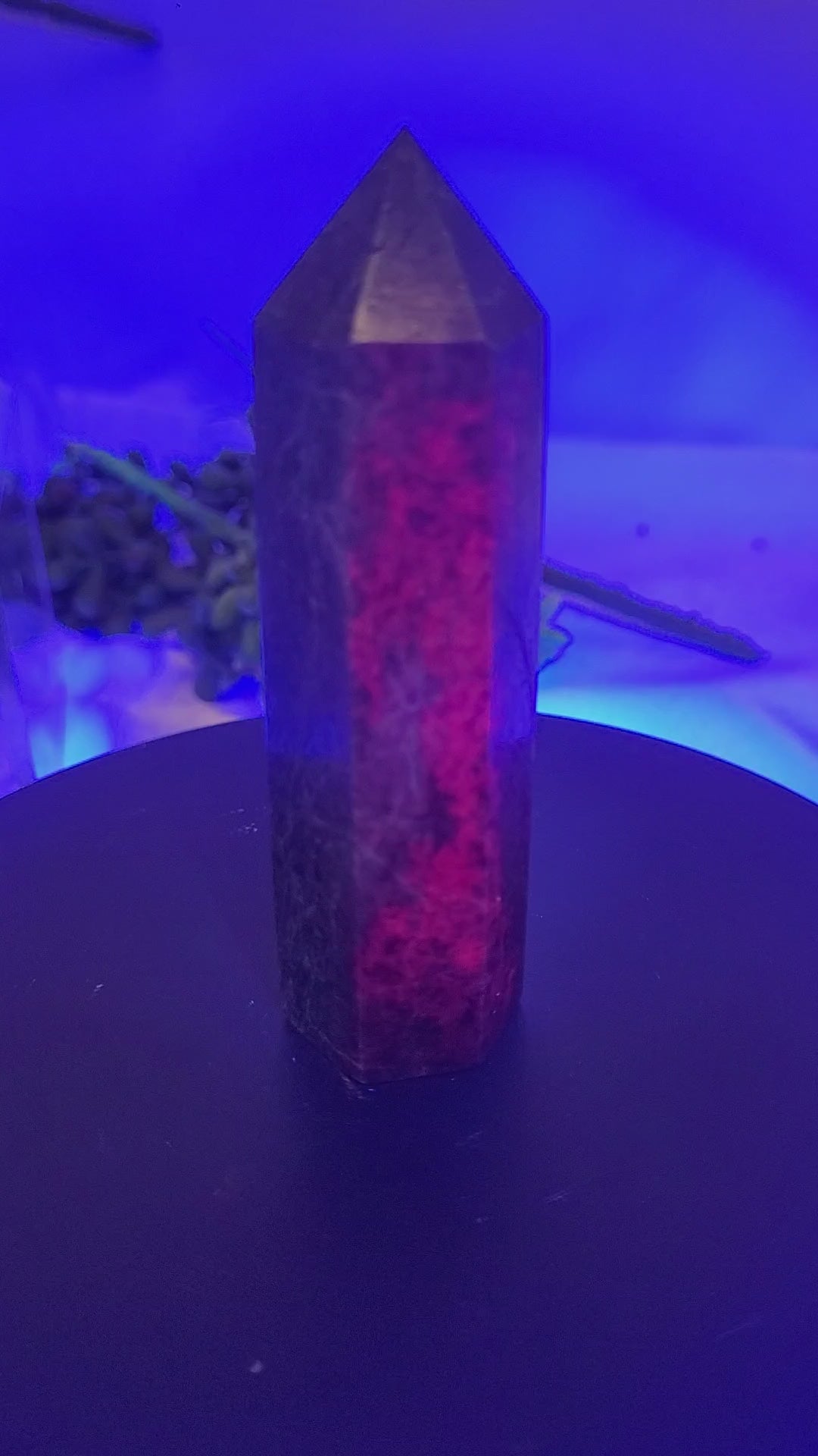 UV Reactive Ruby in Kyanite Tower | 88.7mm Natural Crystal Point | Fluorescent Ruby & Blue Kyanite Generator